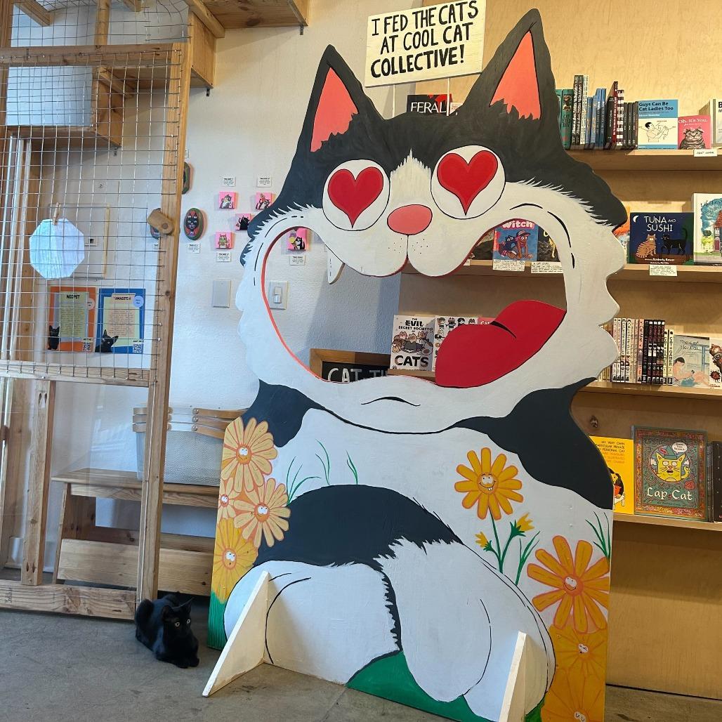 Enlarge Tamagotchi, a Adoptable Domestic Short Hair in Costa Mesa, CA image 6/6