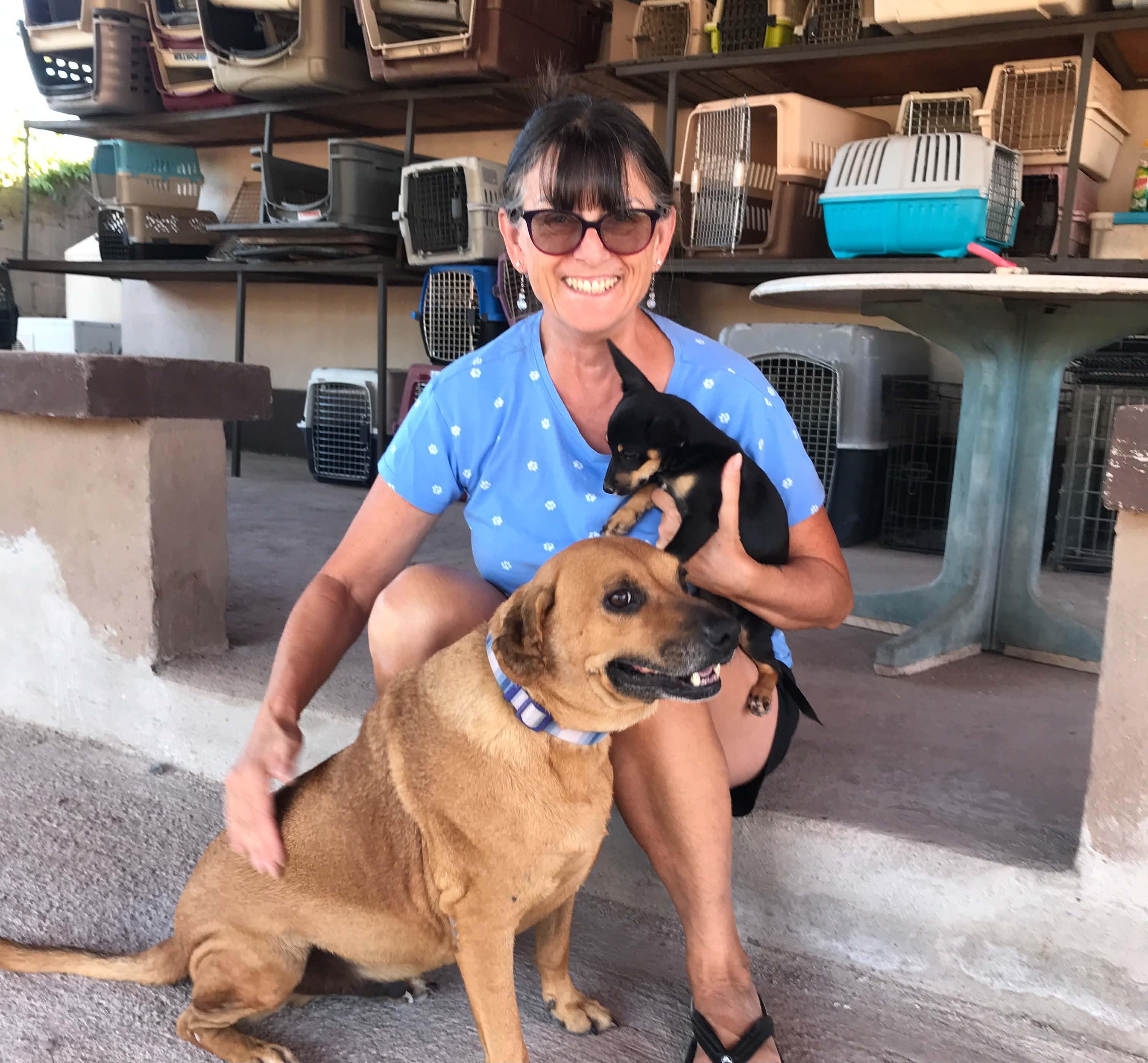 Enlarge Rusty, a ADOPTABLE Mixed Breed in Bend, OR image 4/5