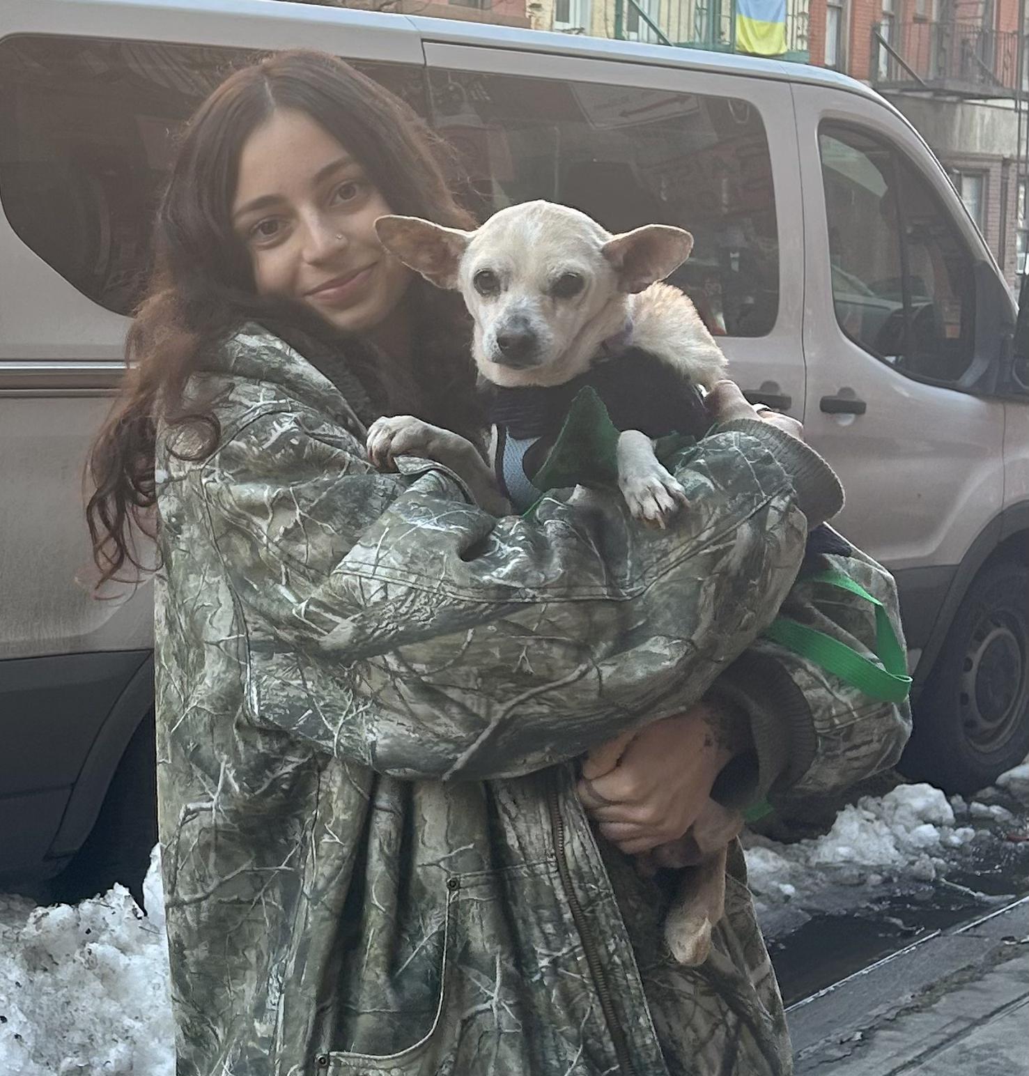 Enlarge Kahlesi, a ADOPTABLE mixed breed in Brooklyn, NY image 3/5