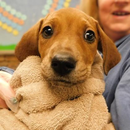 White Elephant Winner