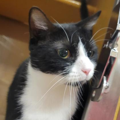 Mamas — thumbnail 2