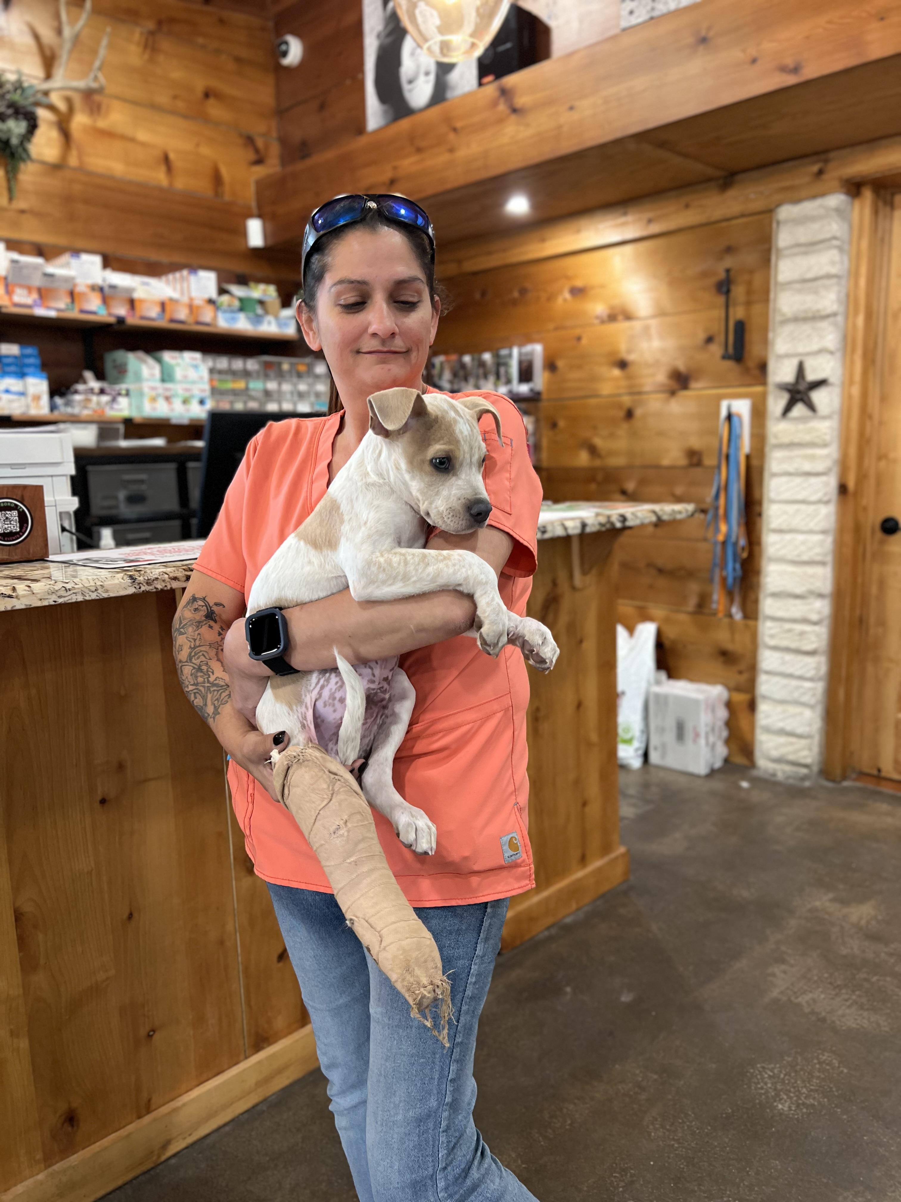 Enlarge Kilmer, a Adopted mixed breed in Itasca, TX image 3/3