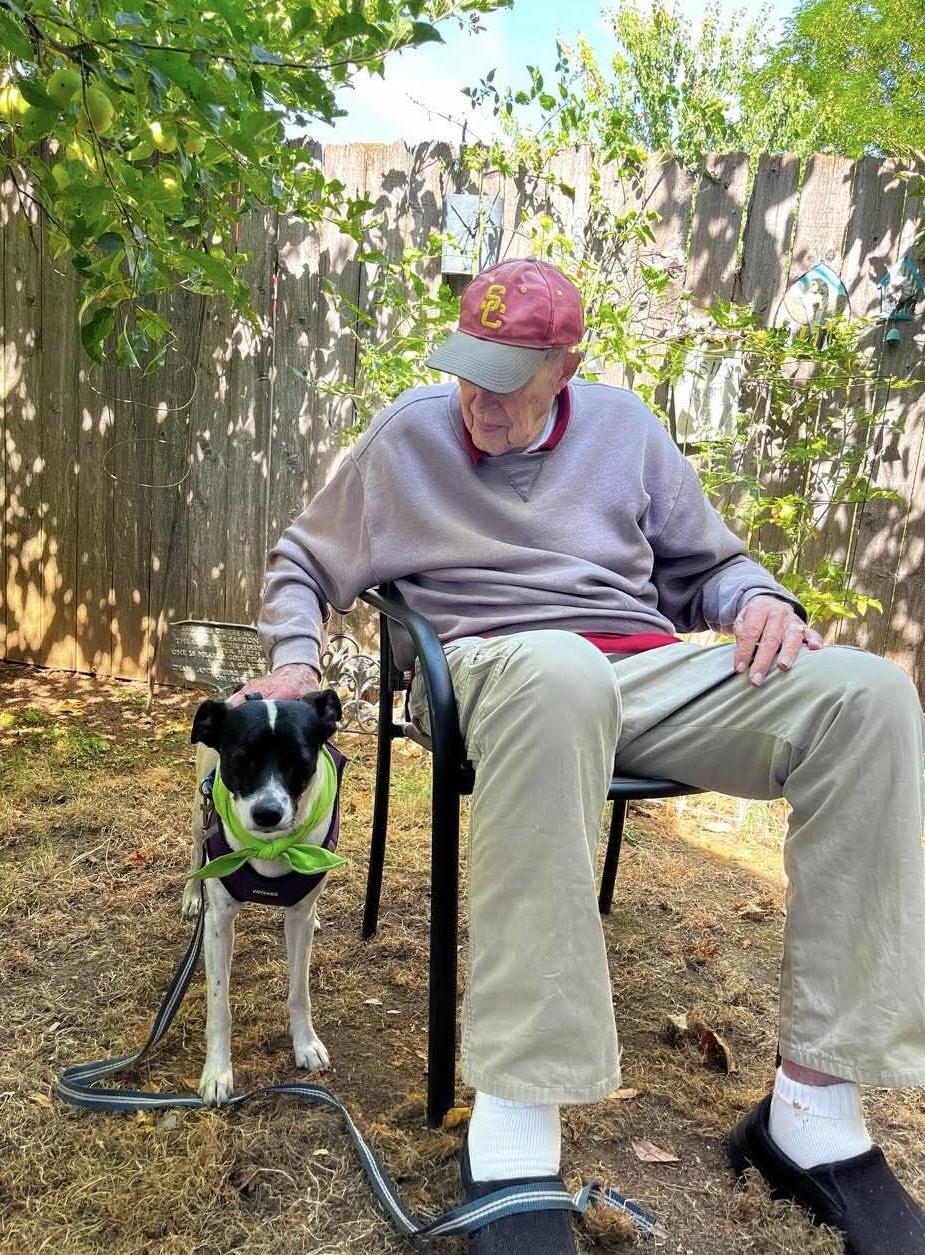 Enlarge Ellis, an adopted mixed breed in Beavercreek, OR image 4/5
