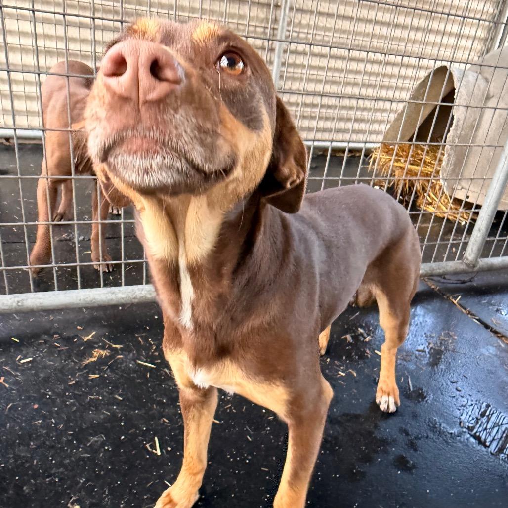 Lola — thumbnail 5