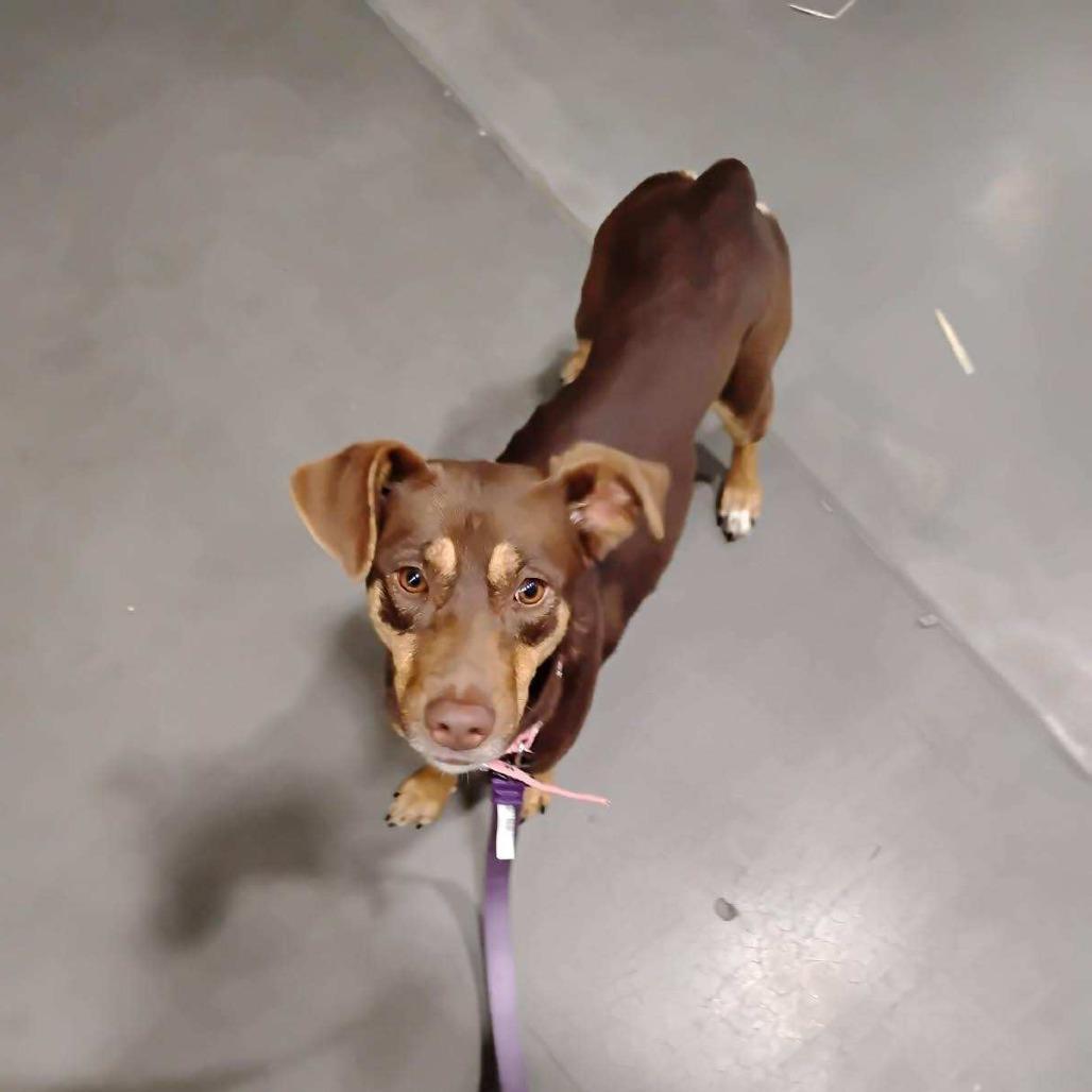 Lola — thumbnail 6