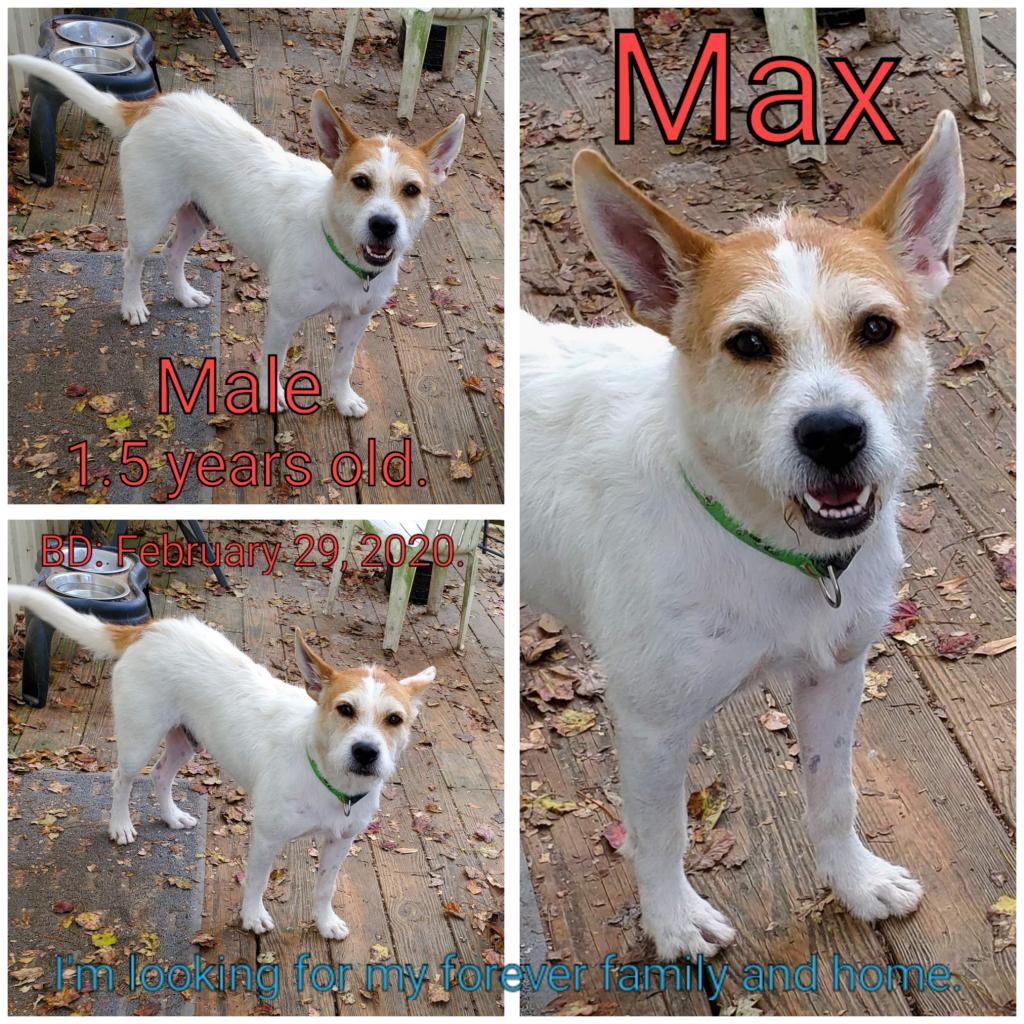 Max — thumbnail 4