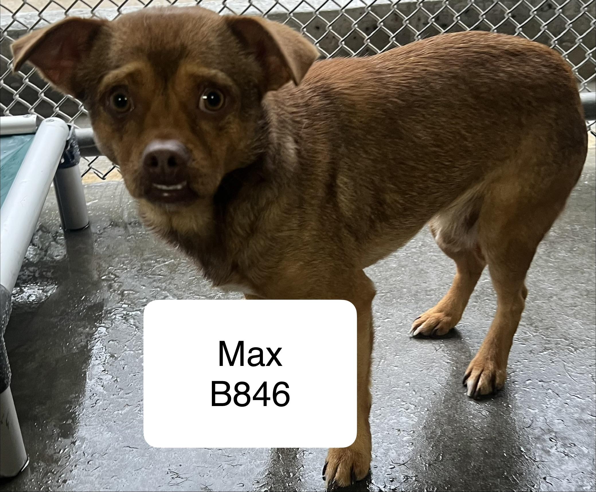 Max