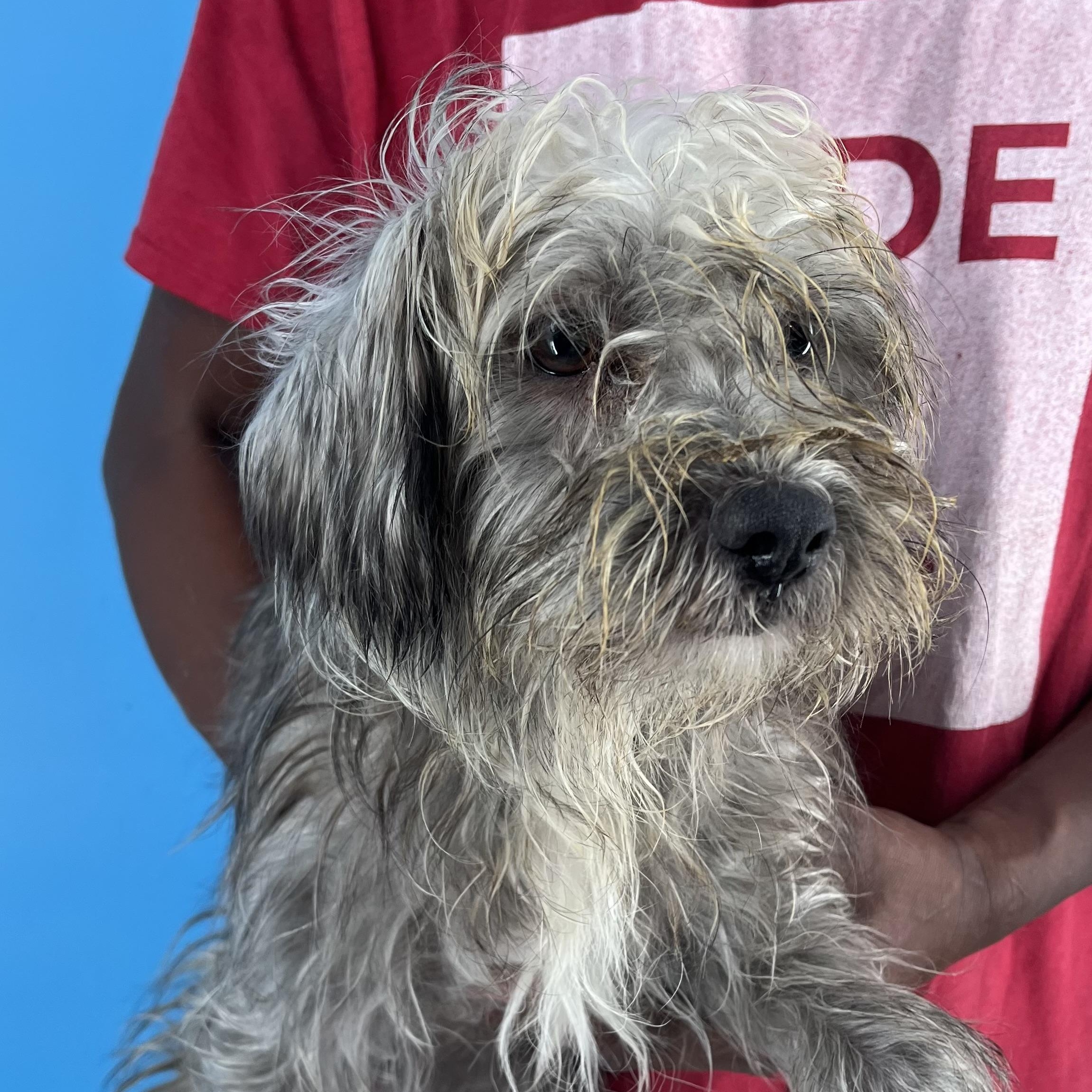 Austin - Local Sept 26-28