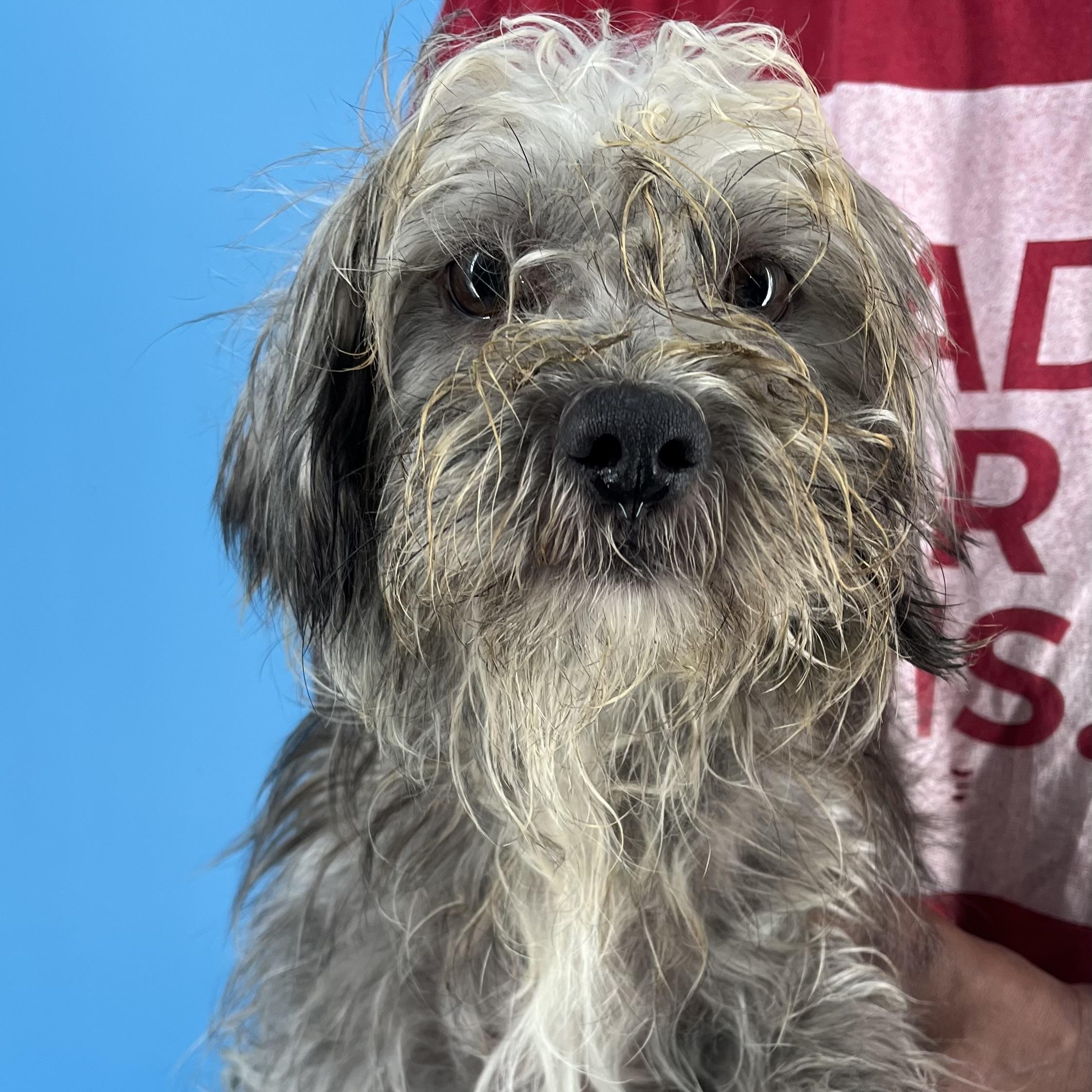 Austin - Local Sept 26-28