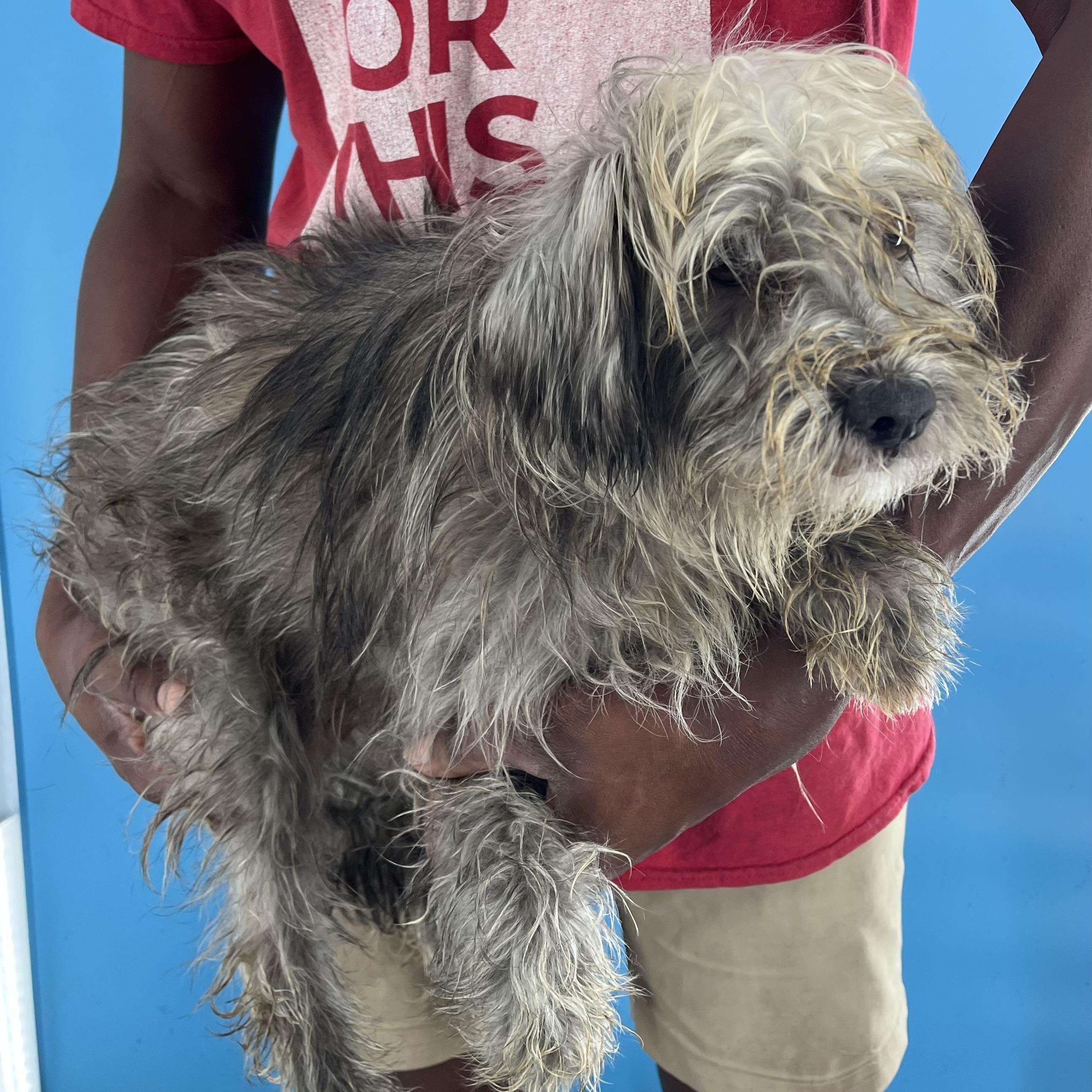 Austin - Local Sept 26-28