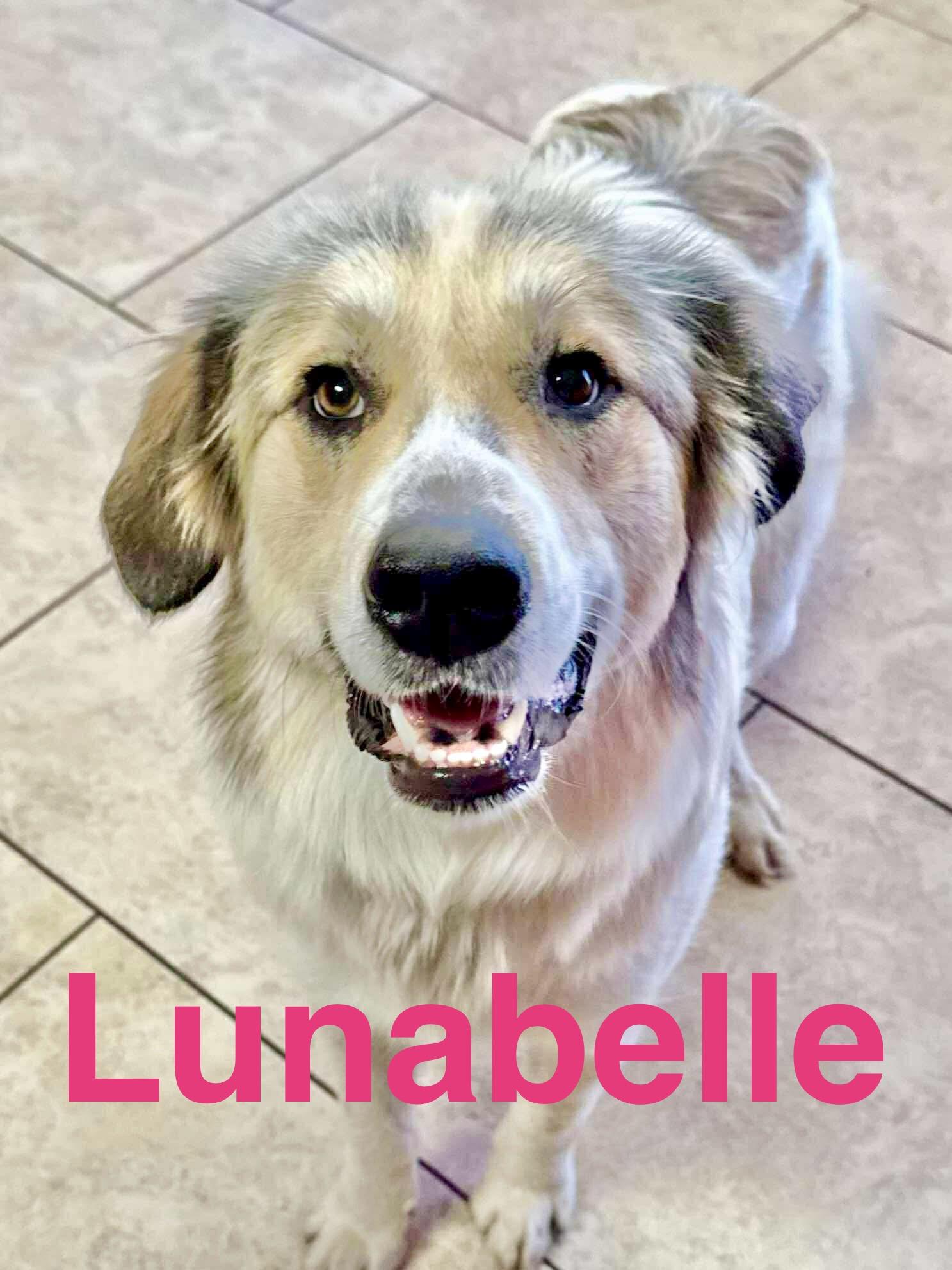 Lunabelle