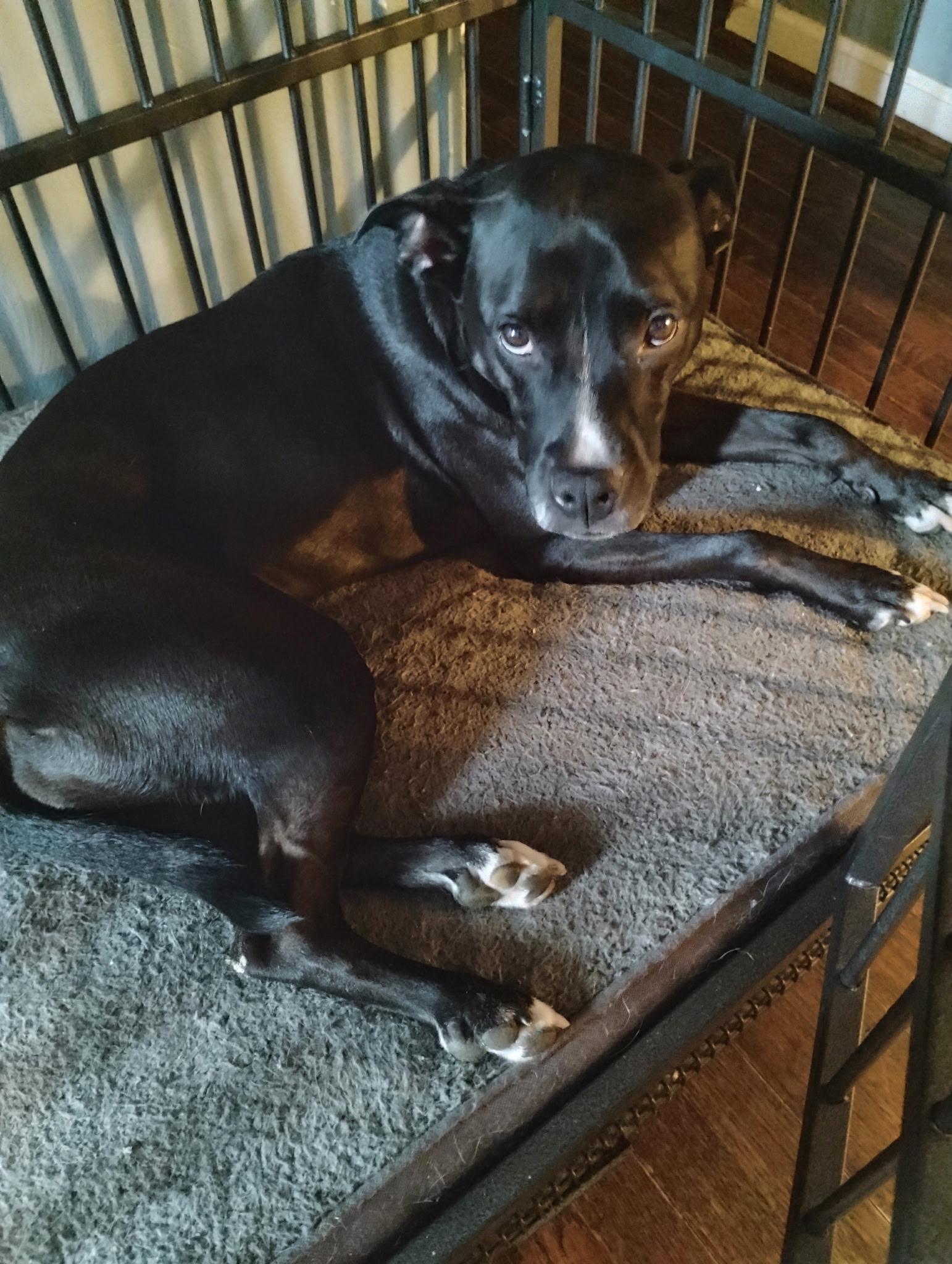 Rosie Roo thumbnail 2