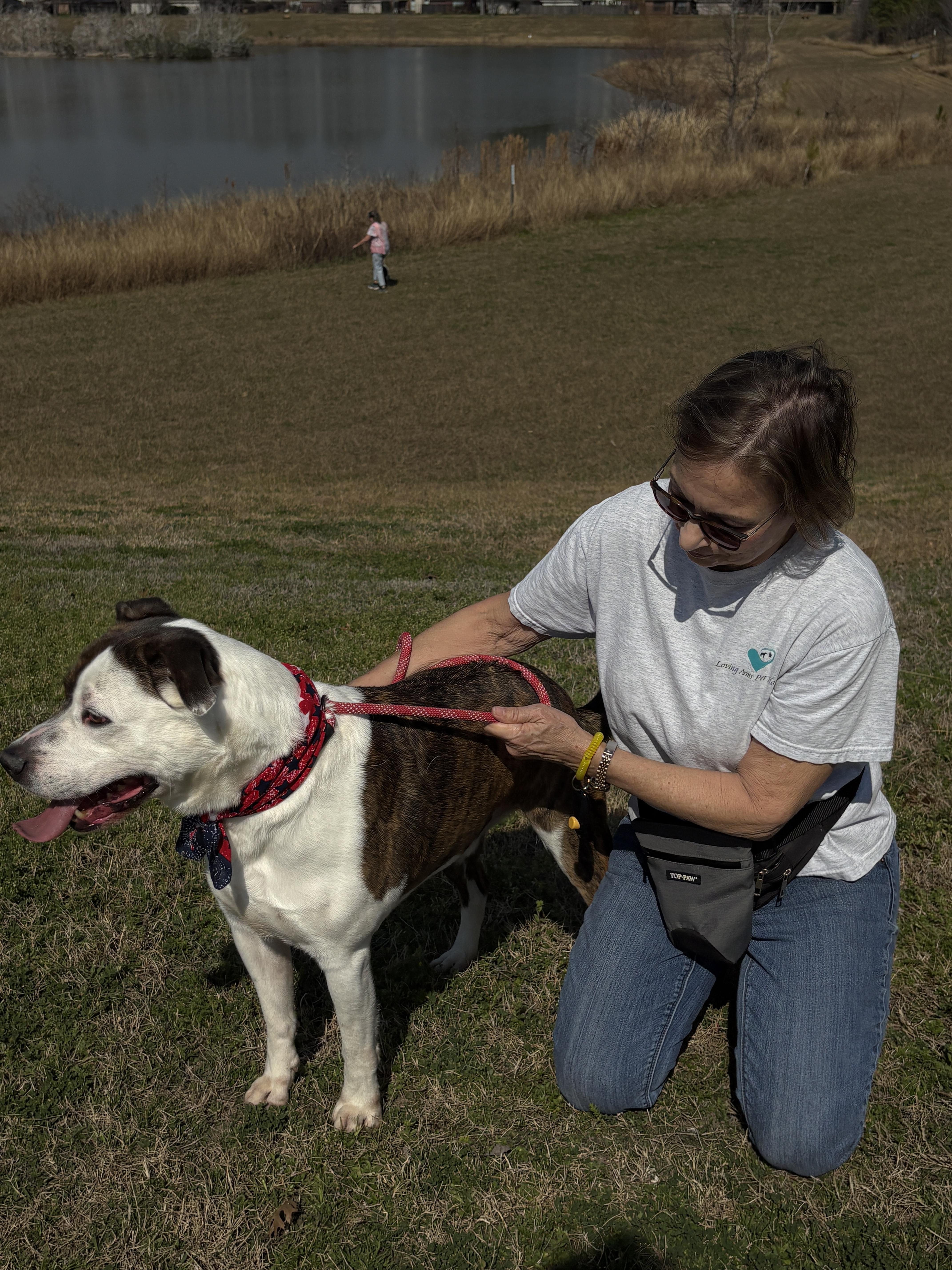 MERRICK- handsome boy! — thumbnail 6