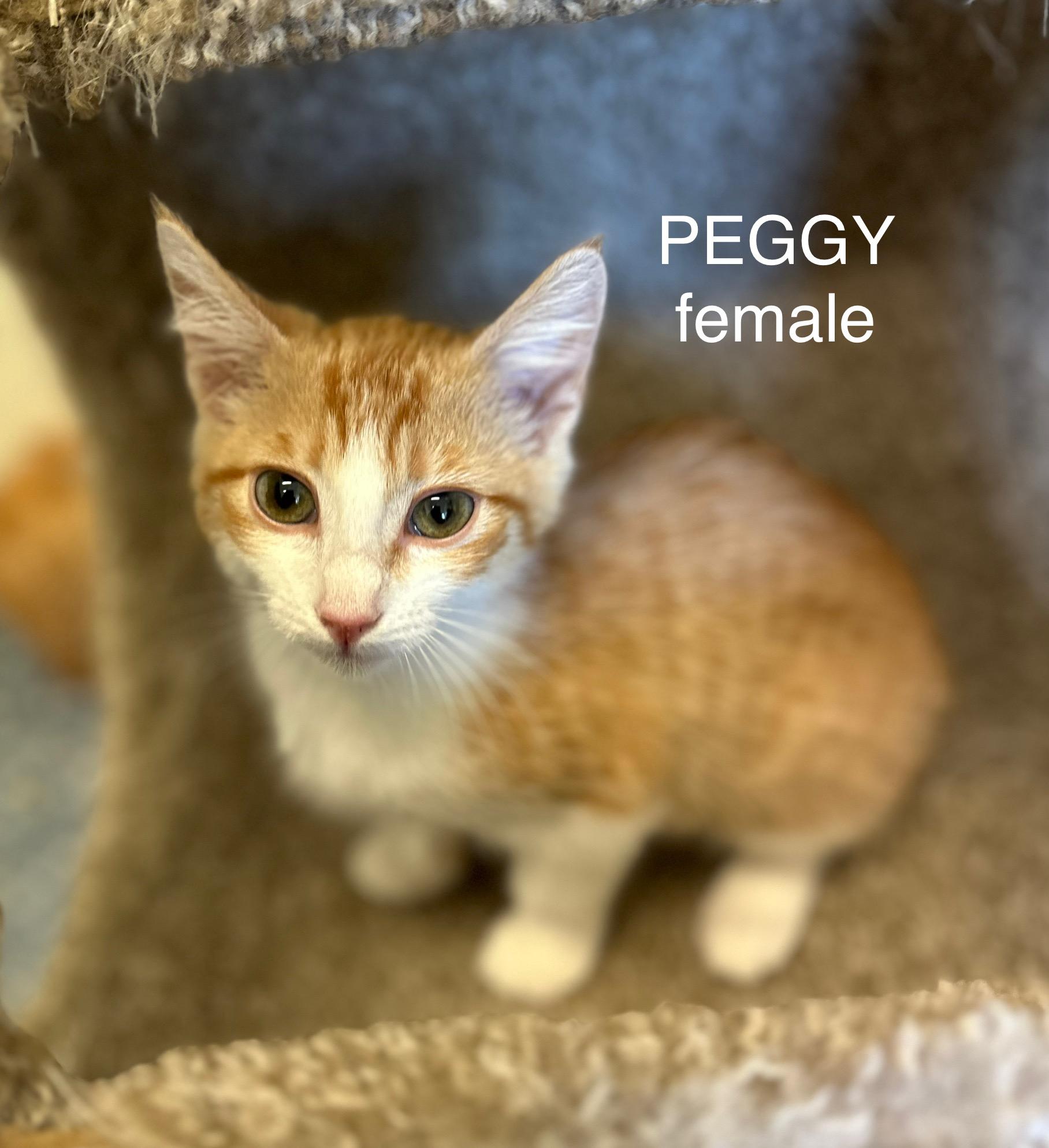 Peggy