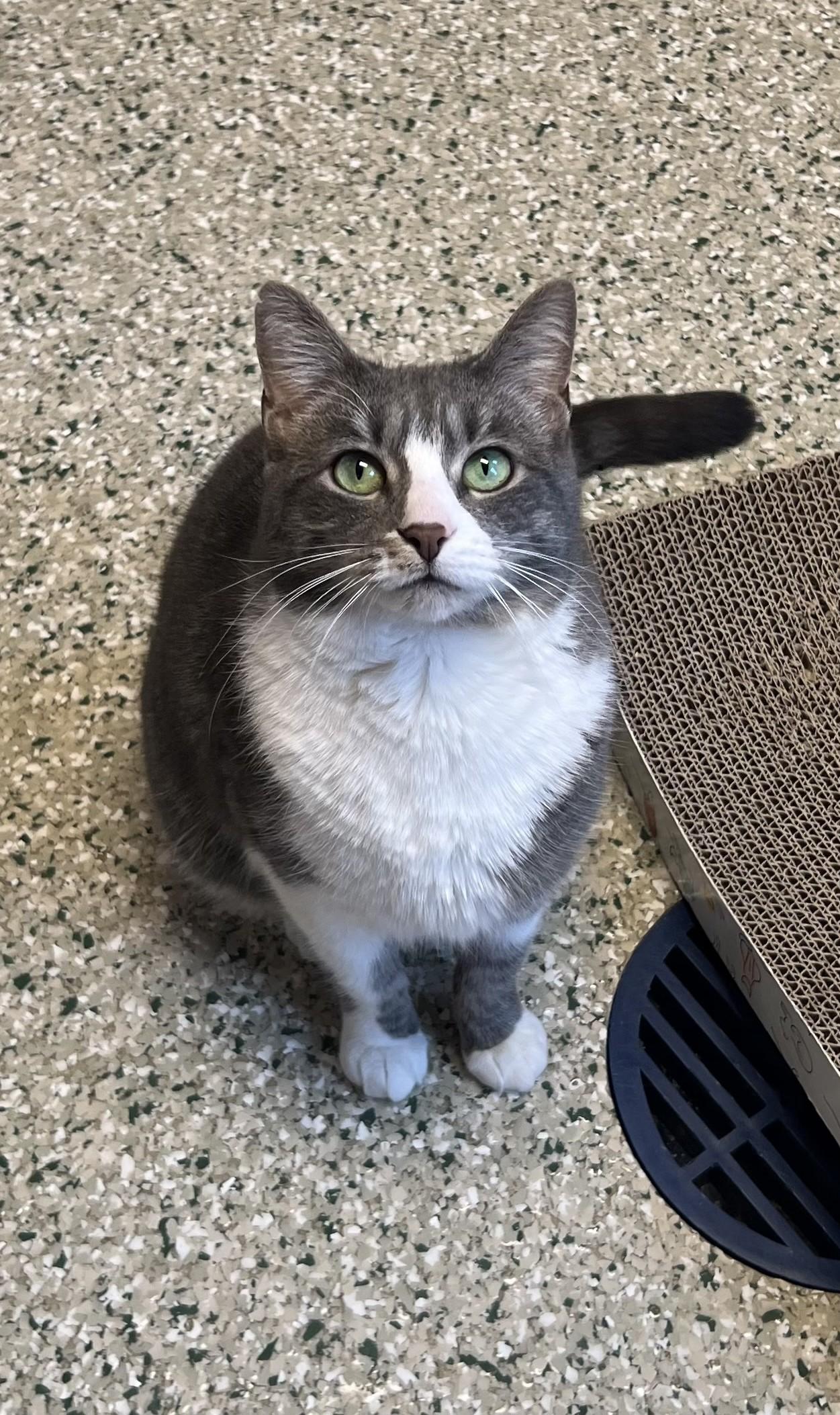 Selena — thumbnail 4