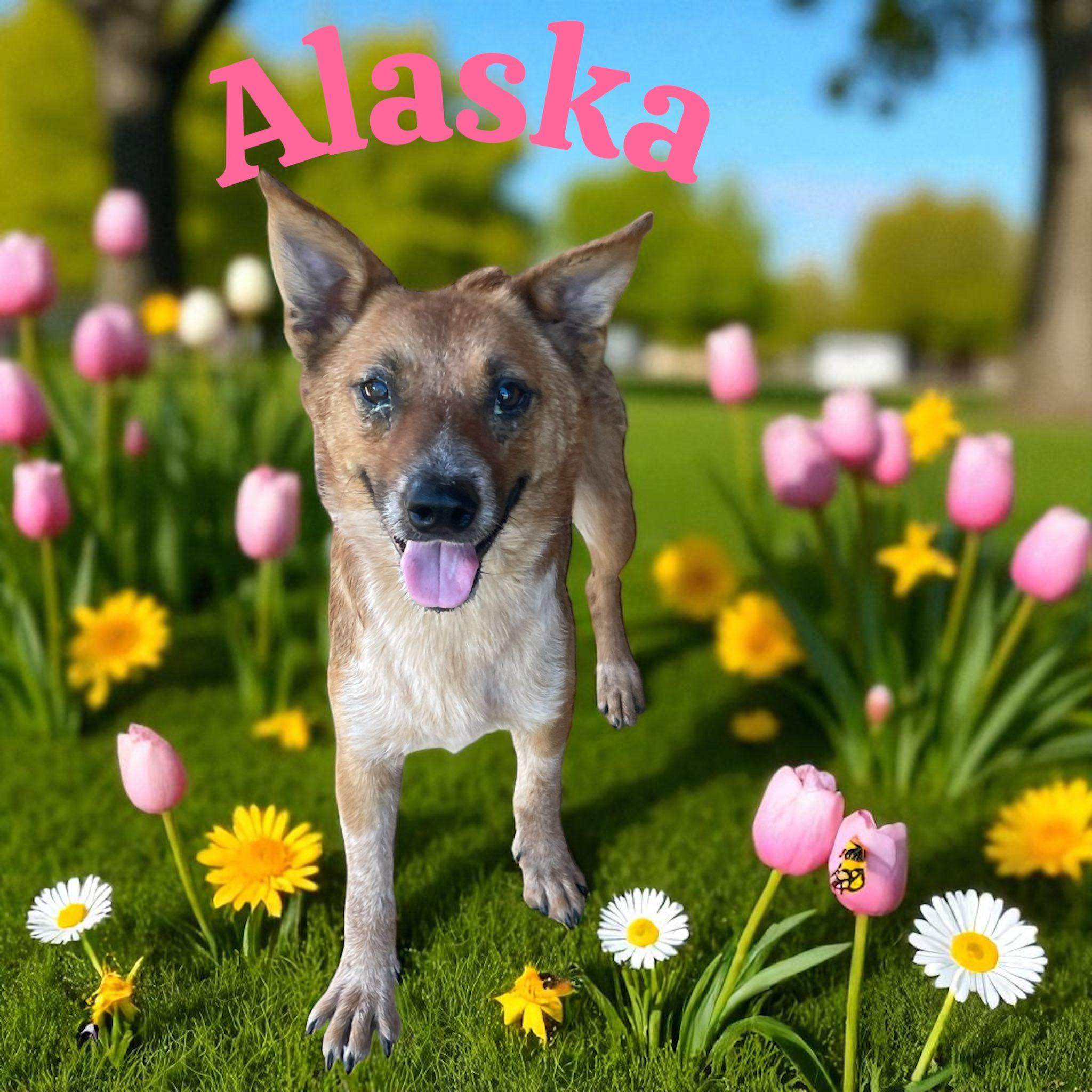 Alaska