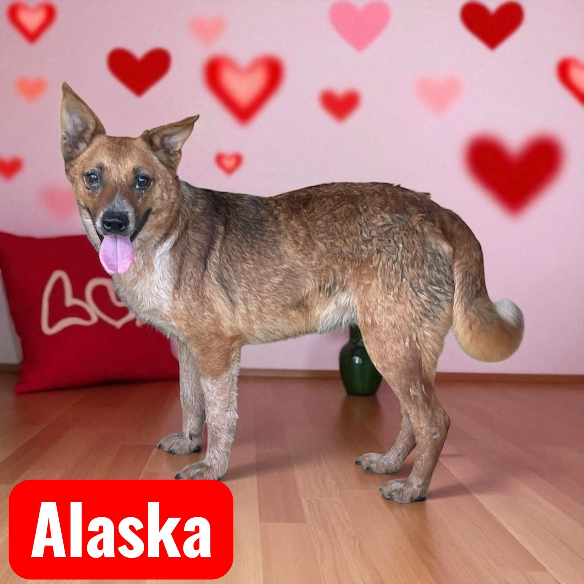 Alaska