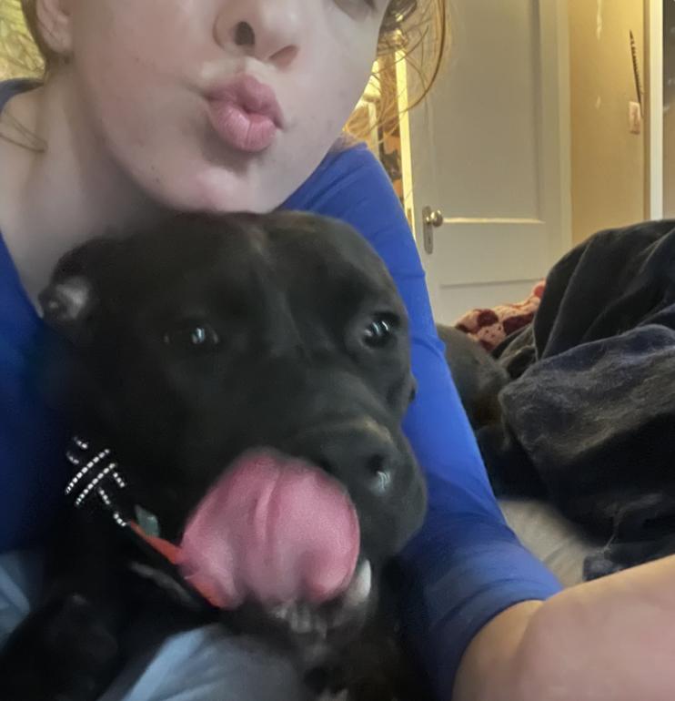 Cocoa, the Cuddler — thumbnail 2