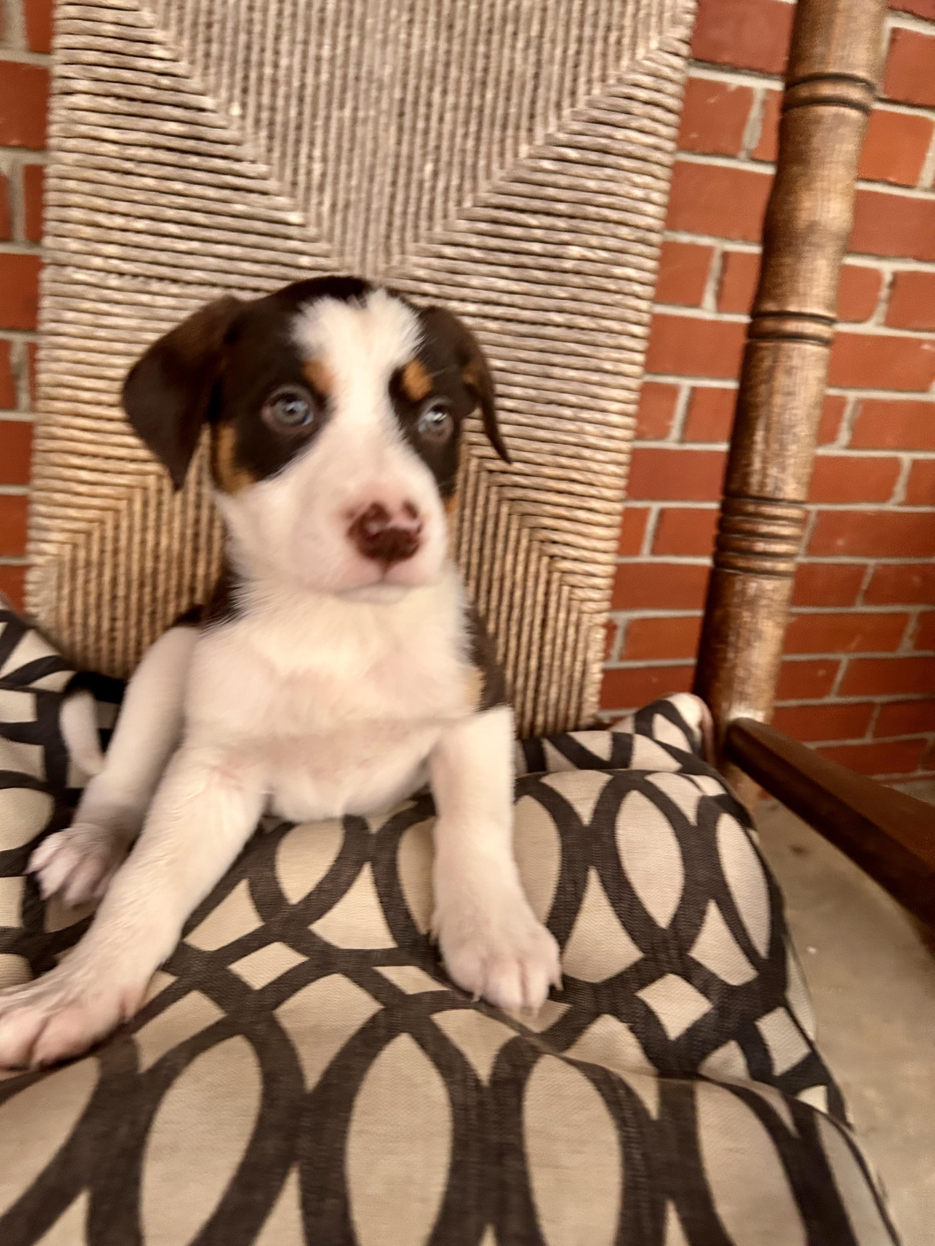 Haley — thumbnail 2