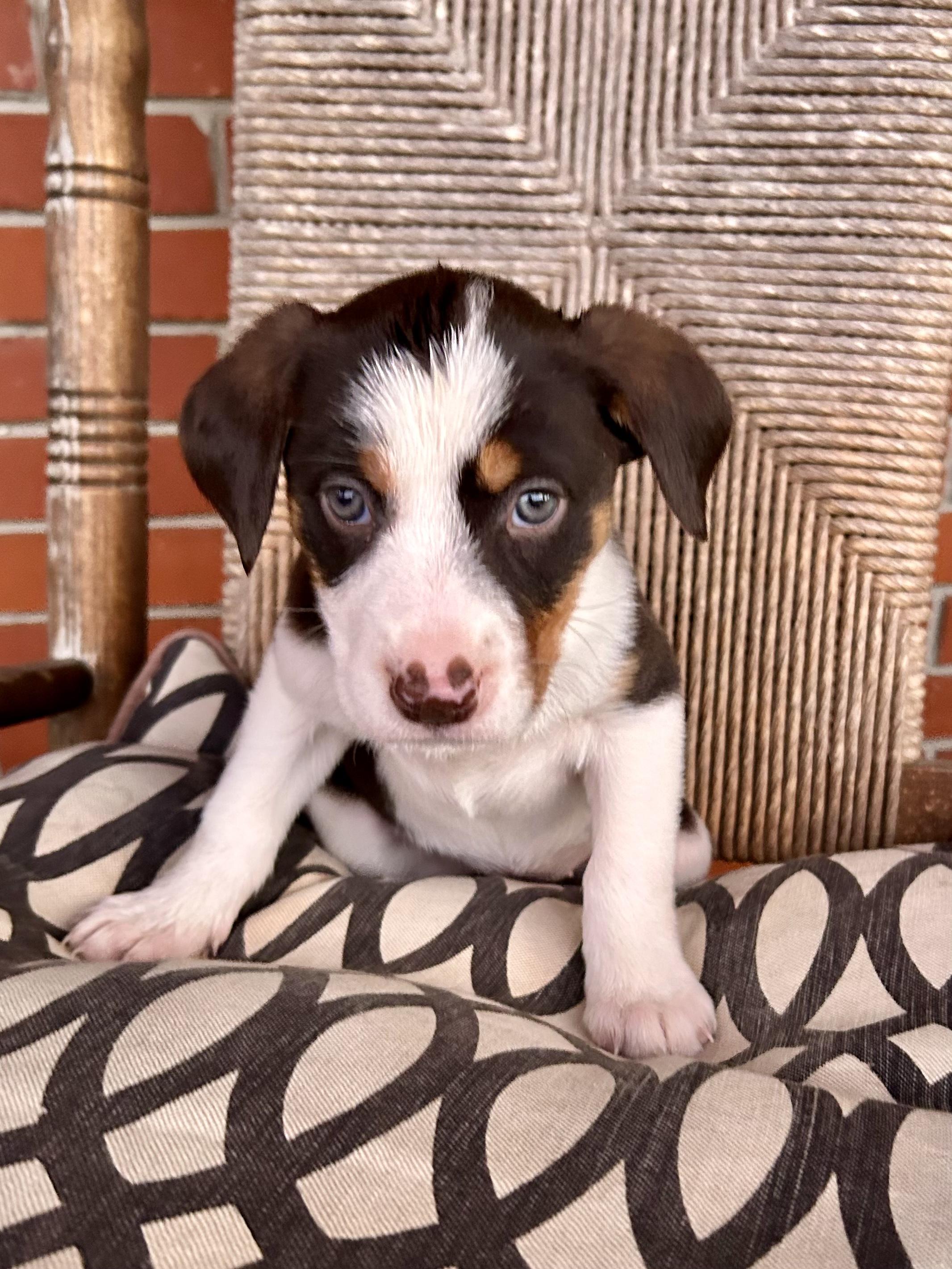 Haley — thumbnail 4