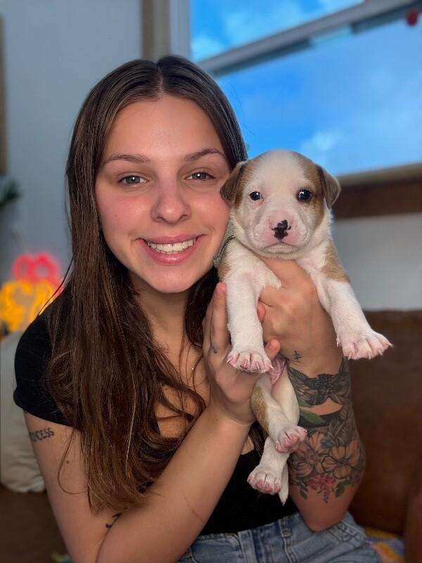 Tower Bridge — thumbnail 3