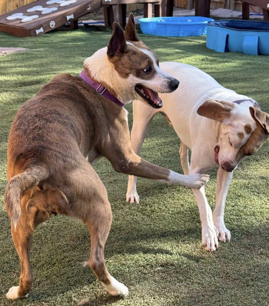 Melinda — thumbnail 3