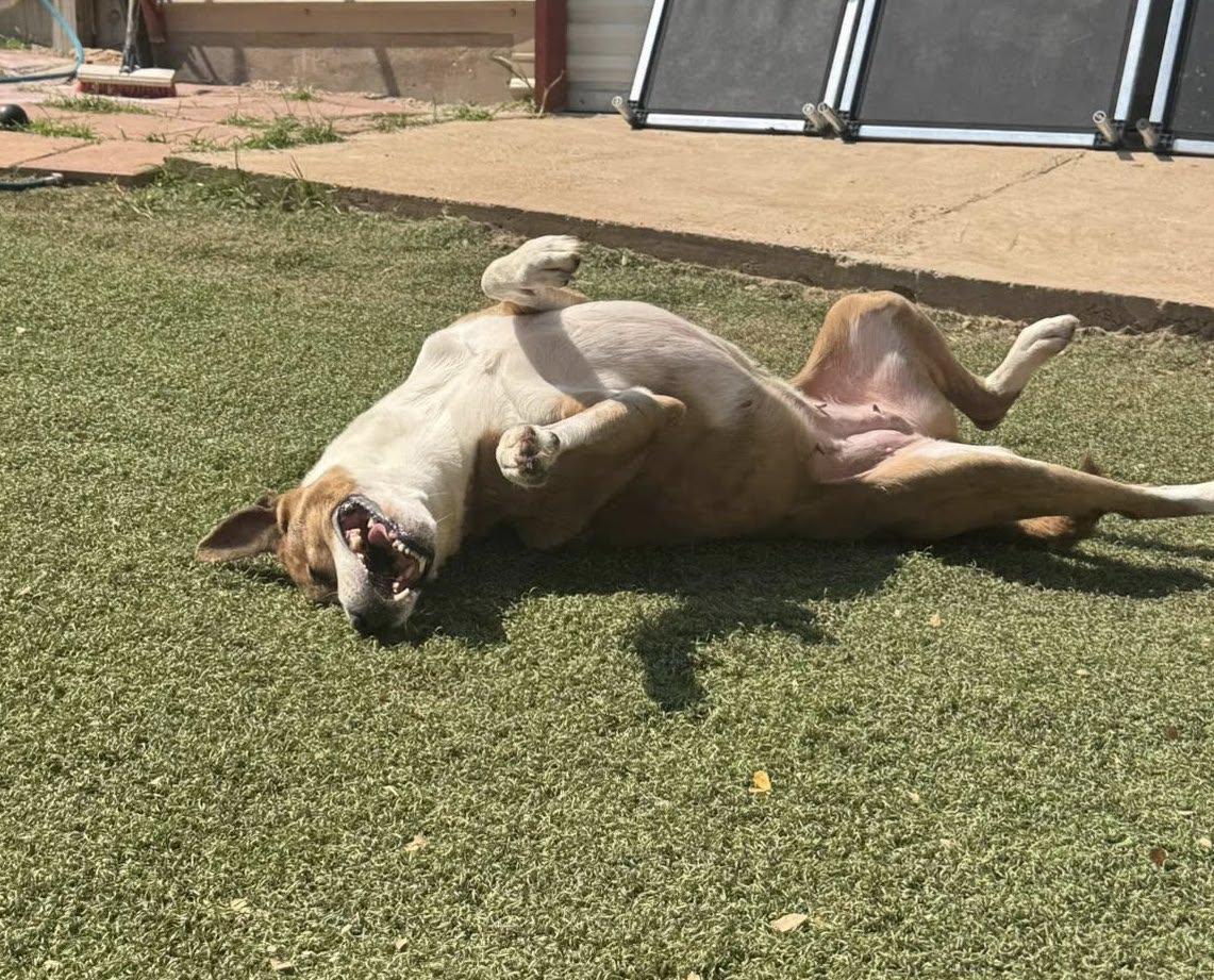 Melinda — thumbnail 6