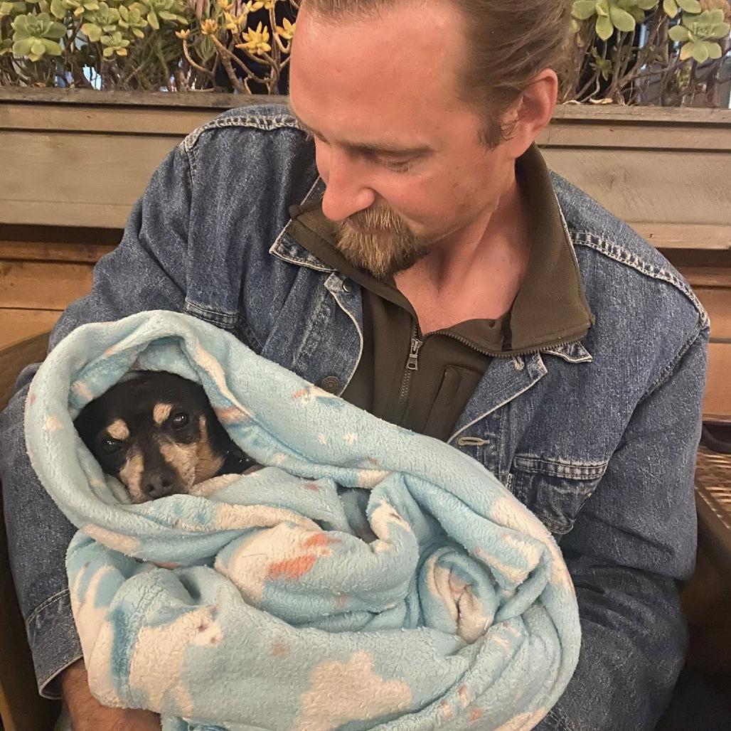 Denny — thumbnail 2