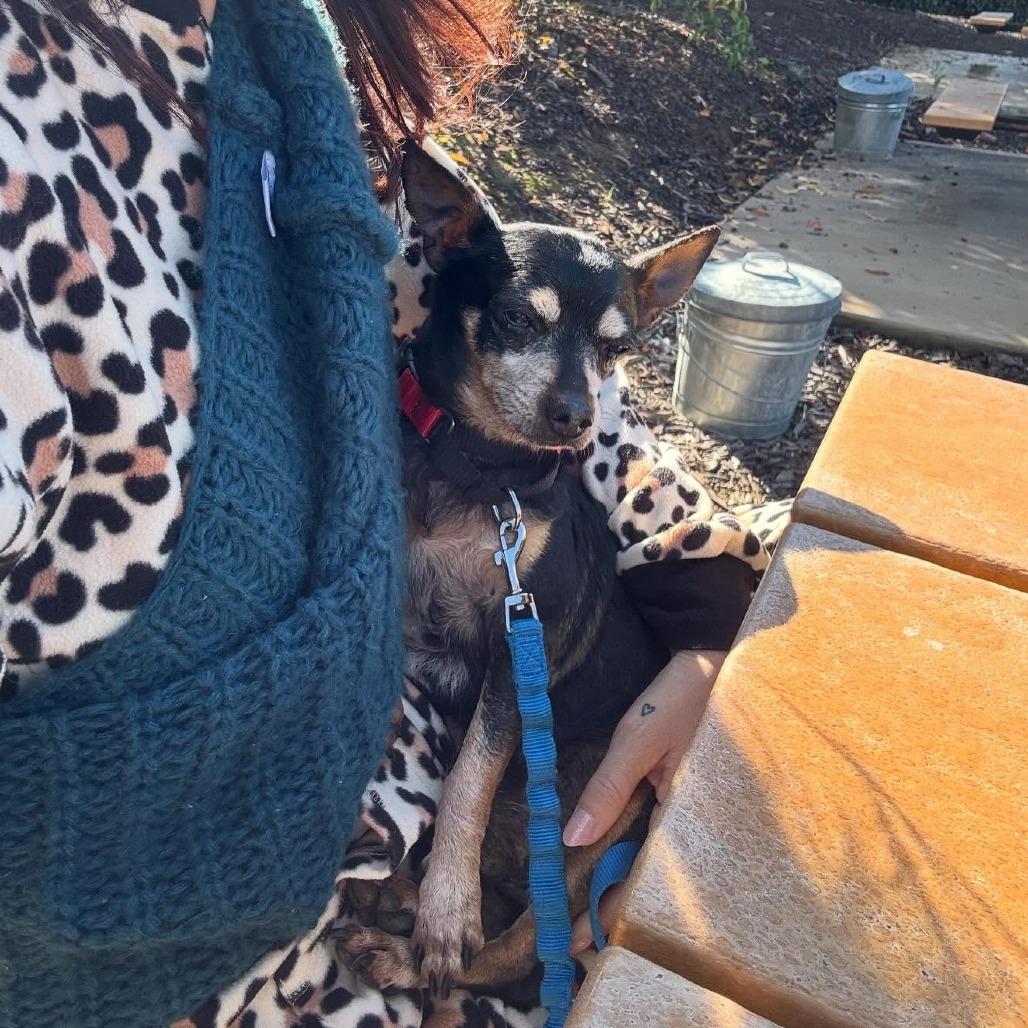 Denny — thumbnail 3