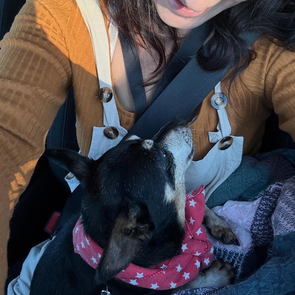 Denny — thumbnail 5