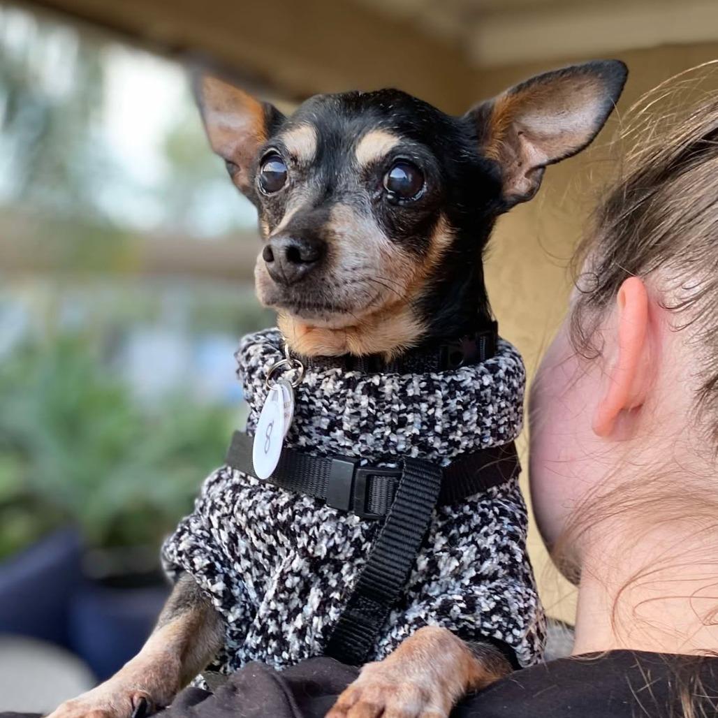 Denny — thumbnail 6