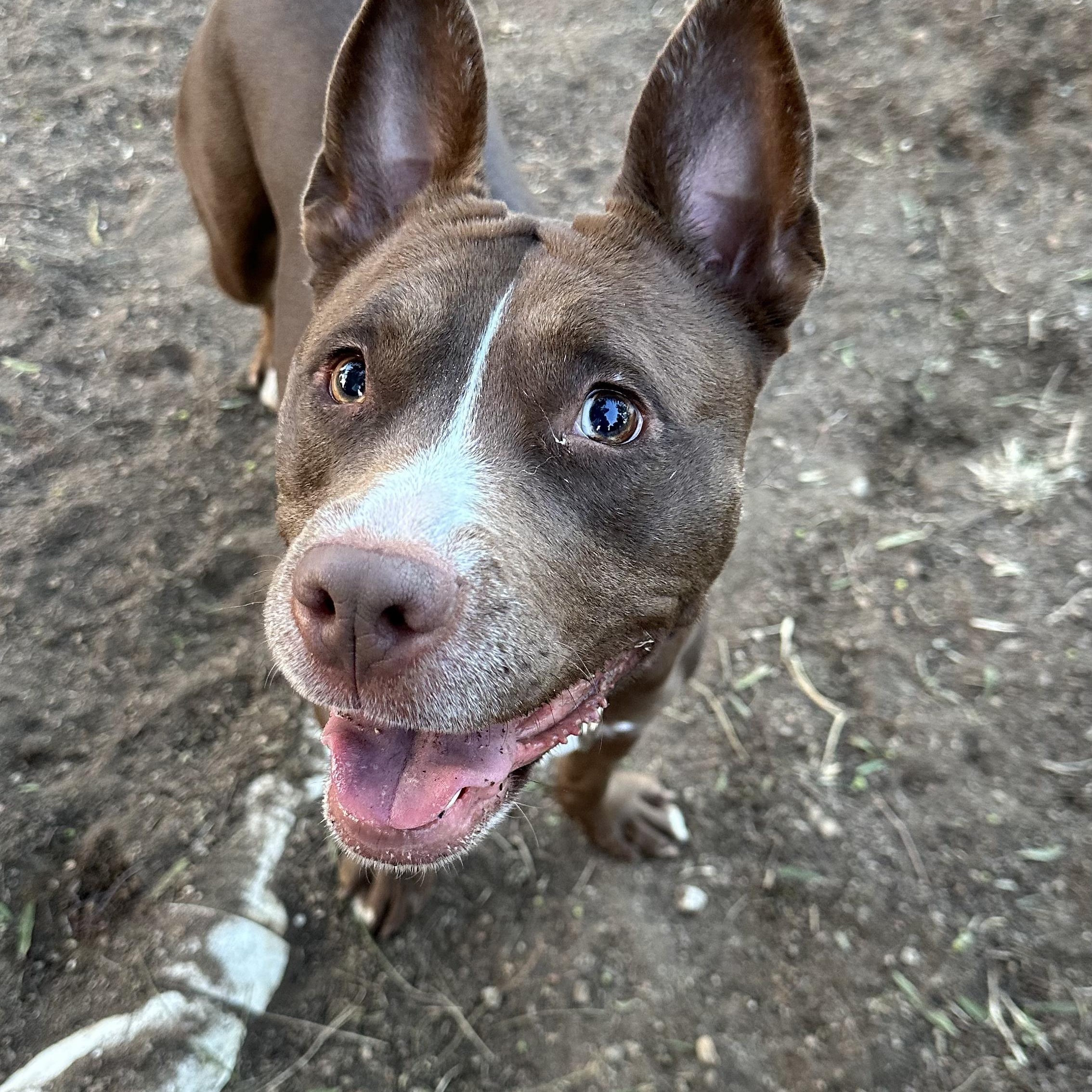 Sally