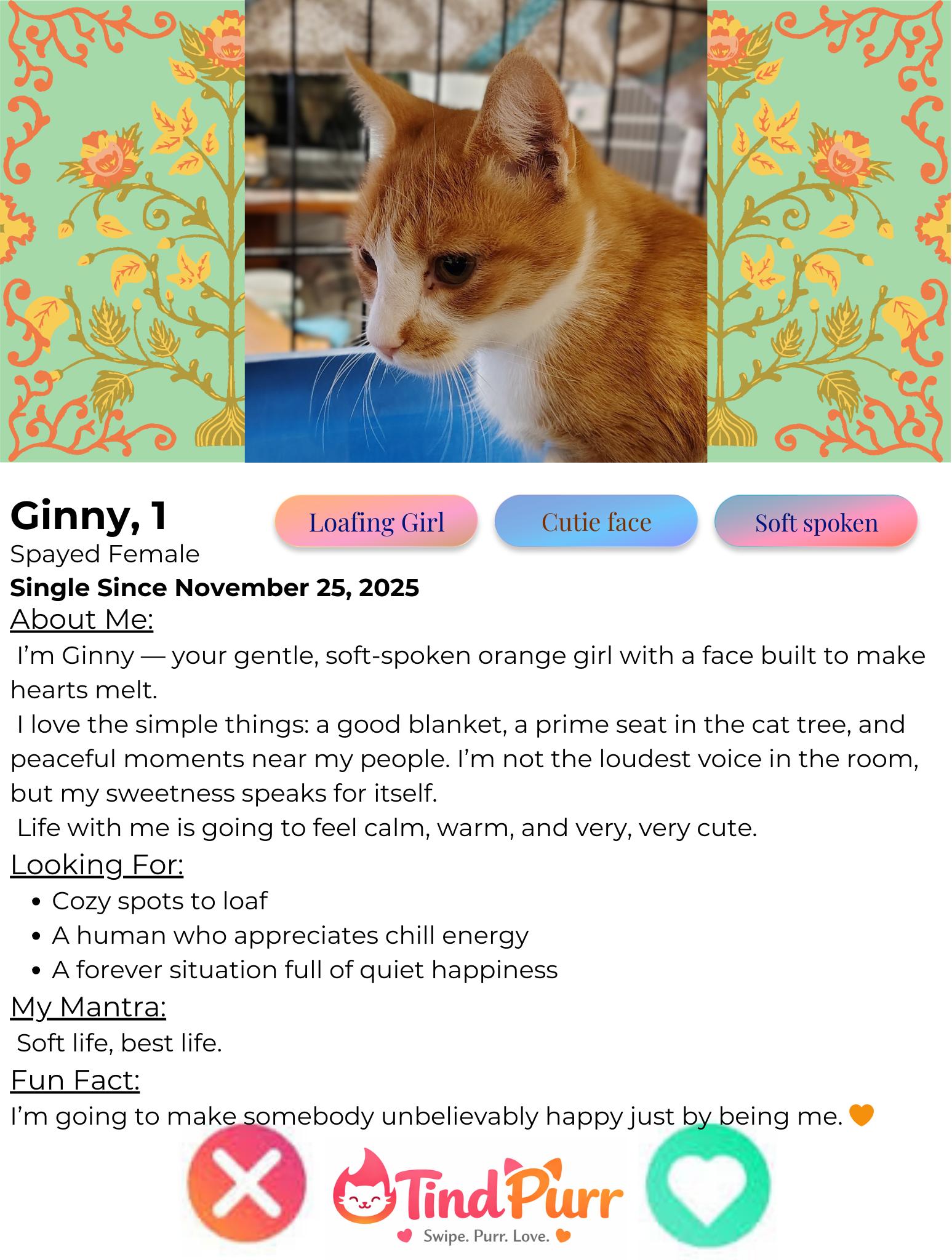 Ginny — thumbnail 2