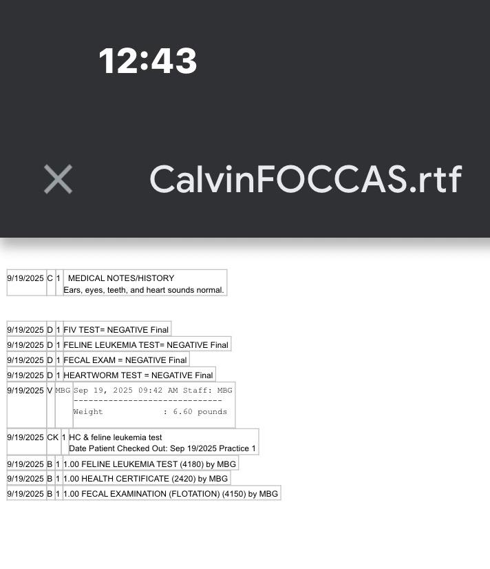 Enlarge Calvin now Zamboni, a Adopted mixed breed in Crossville, TN image 5/6