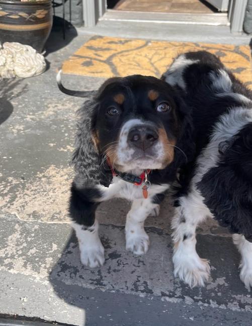 Butch Smudge Cassidy