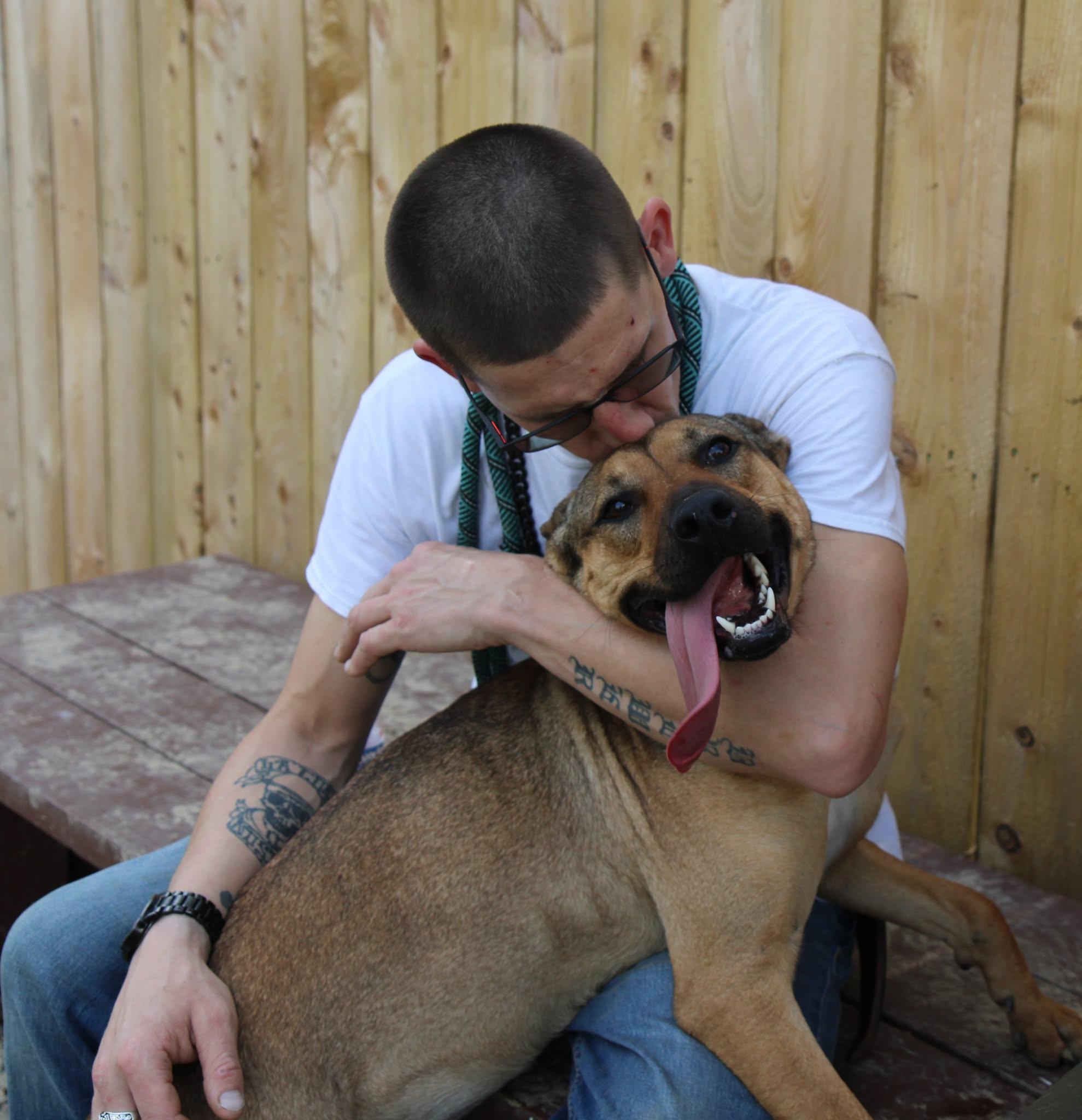 Enlarge Bella, a Adoptable mixed breed in Plain City, OH image 5/6