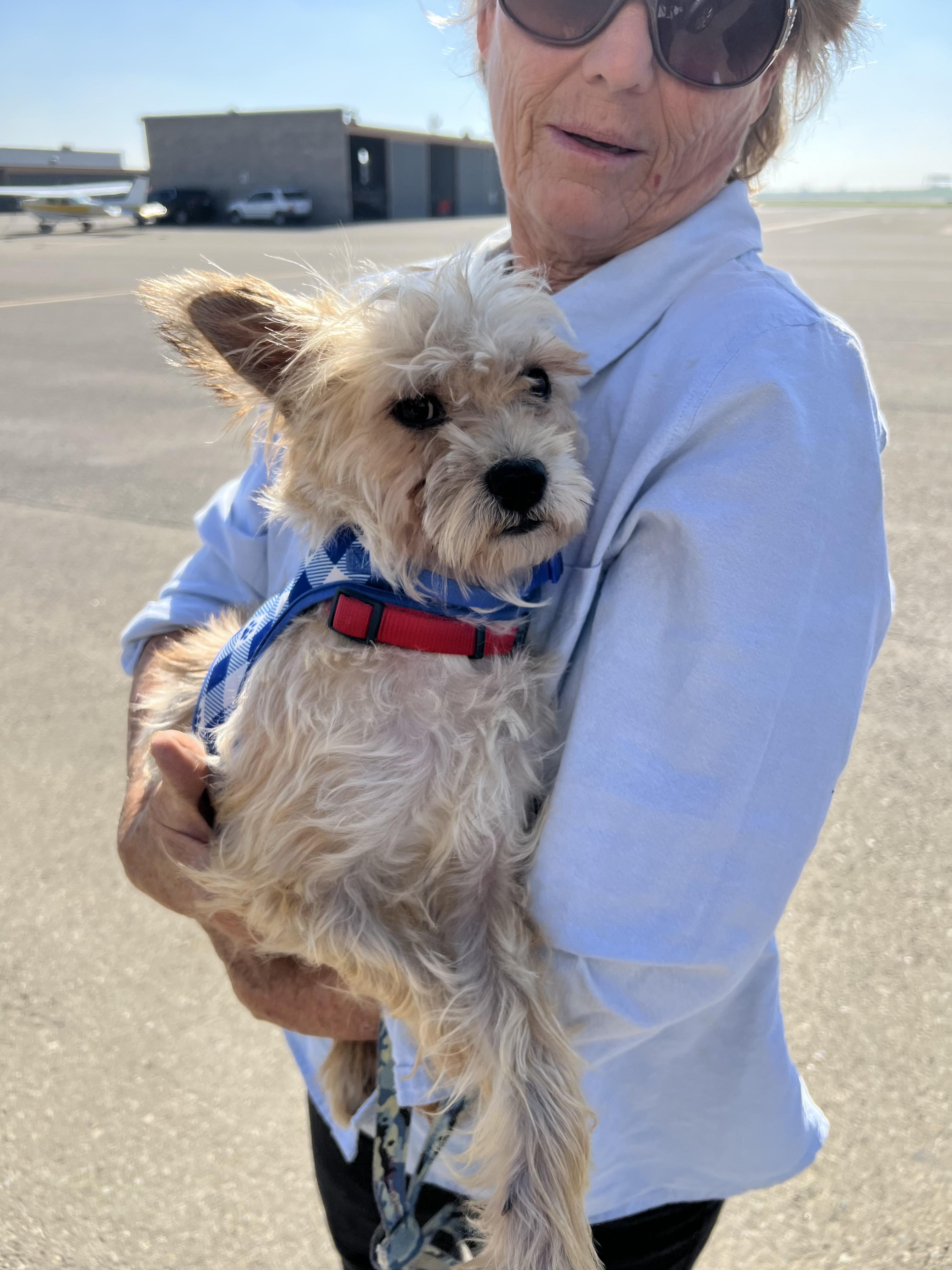 Jackon, a Adoptable mixed breed in modesto, CA image 1/2