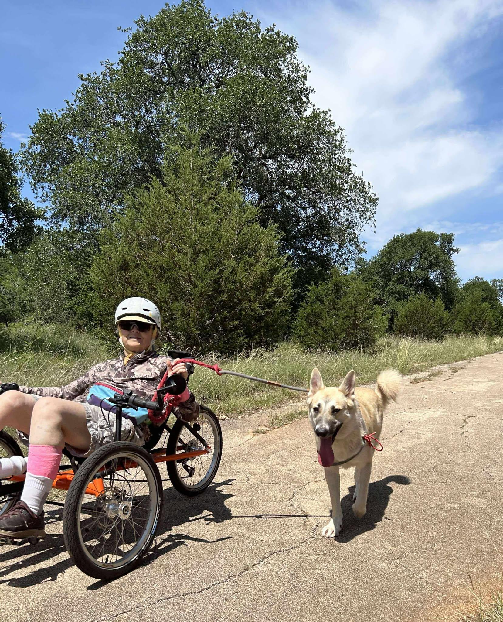 Enlarge Kiviuq, a ADOPTABLE mixed breed in Lockhart, TX image 6/6
