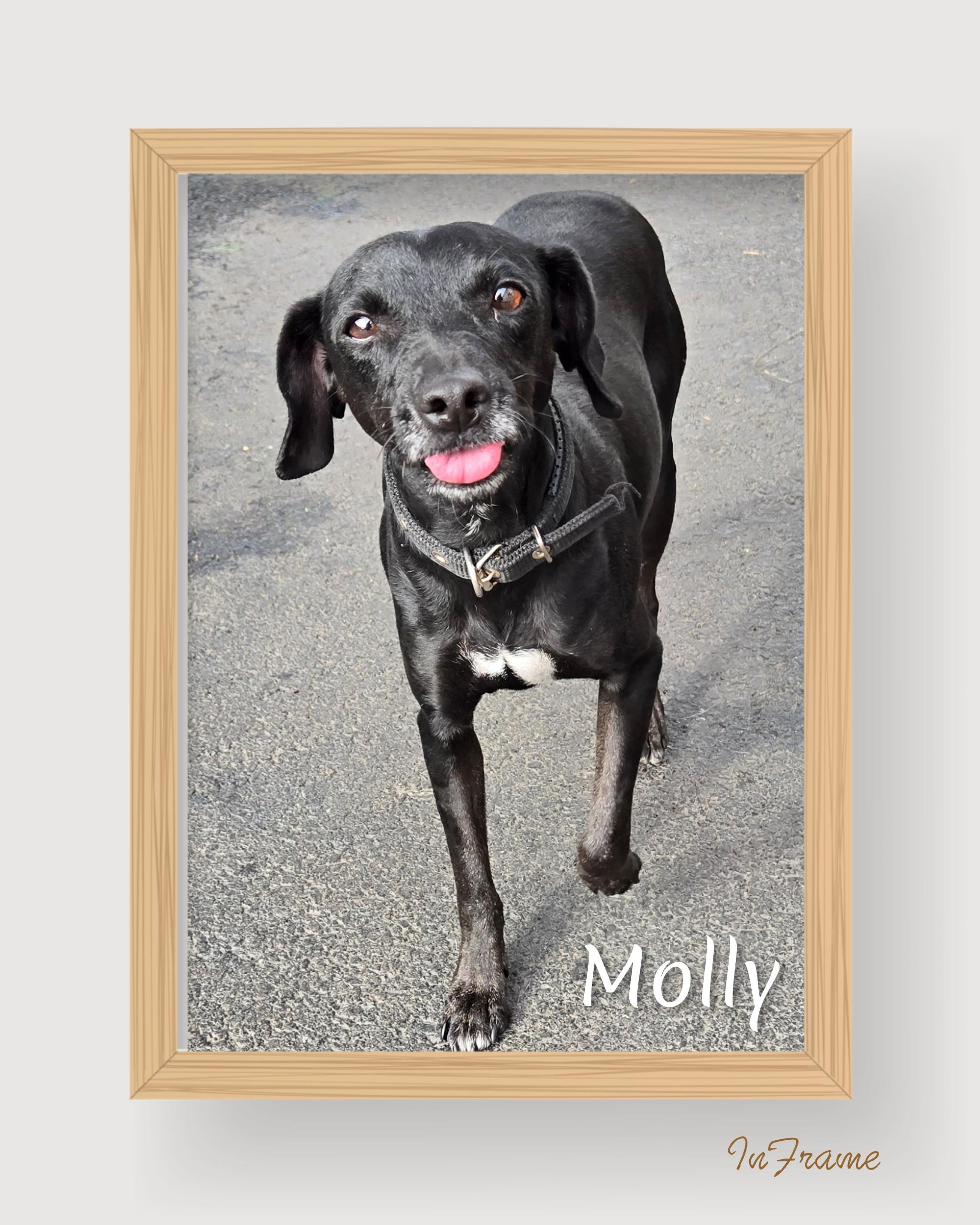 Molly