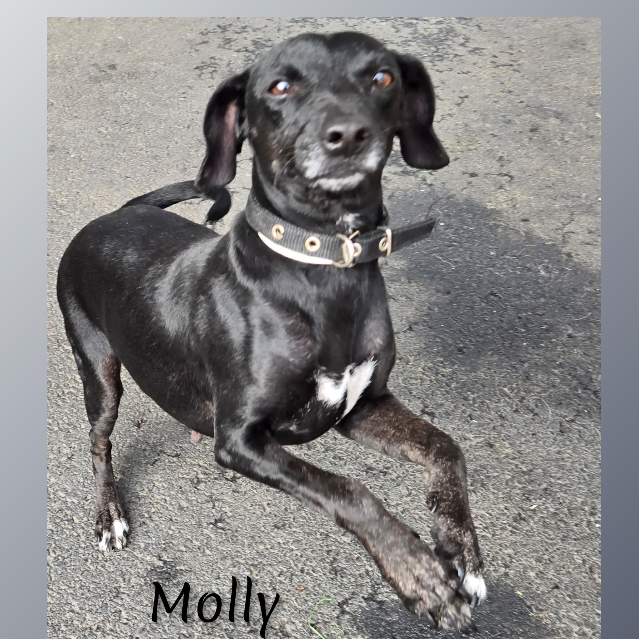 Molly