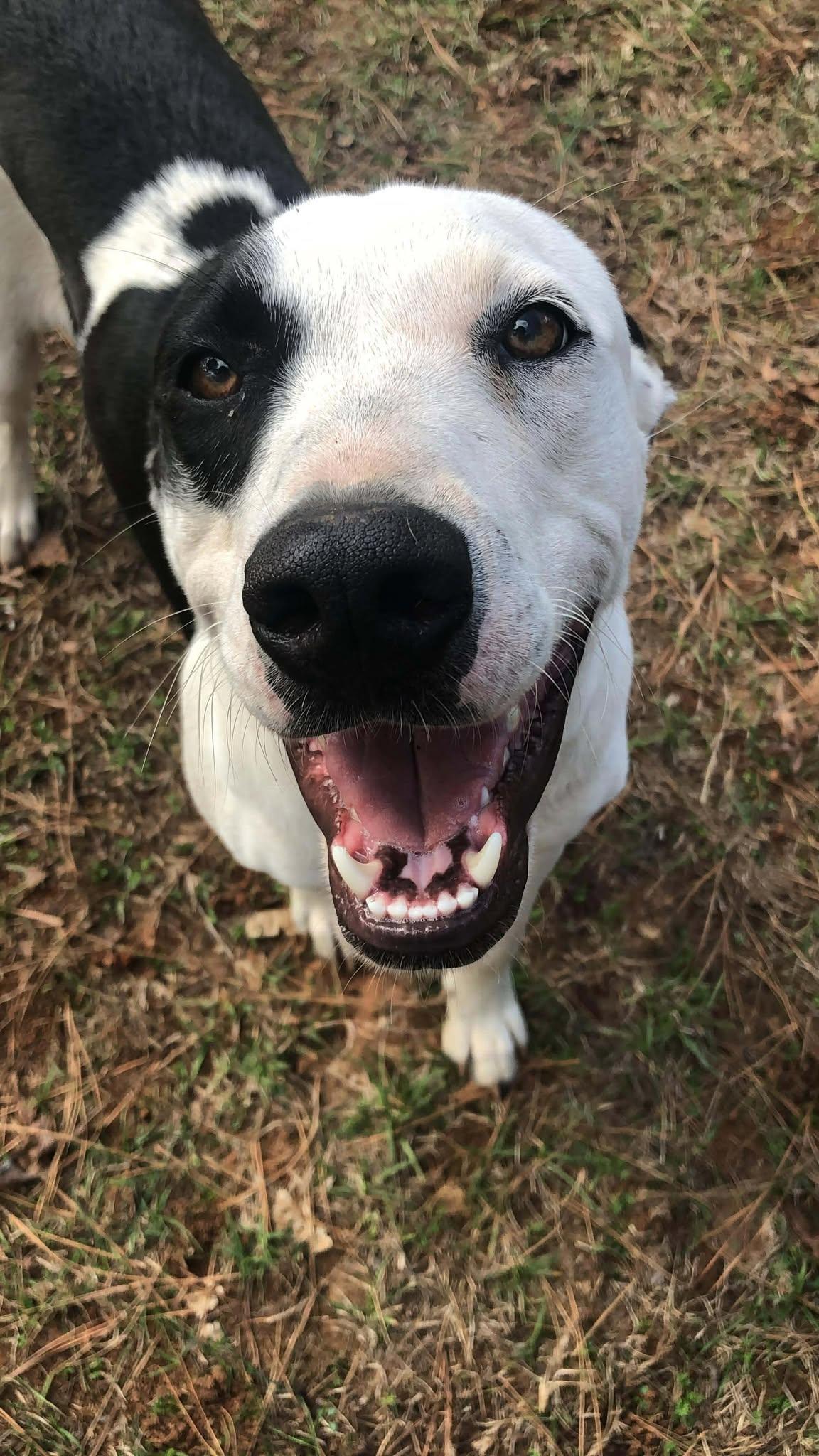 JD (20251214-01) — thumbnail 4