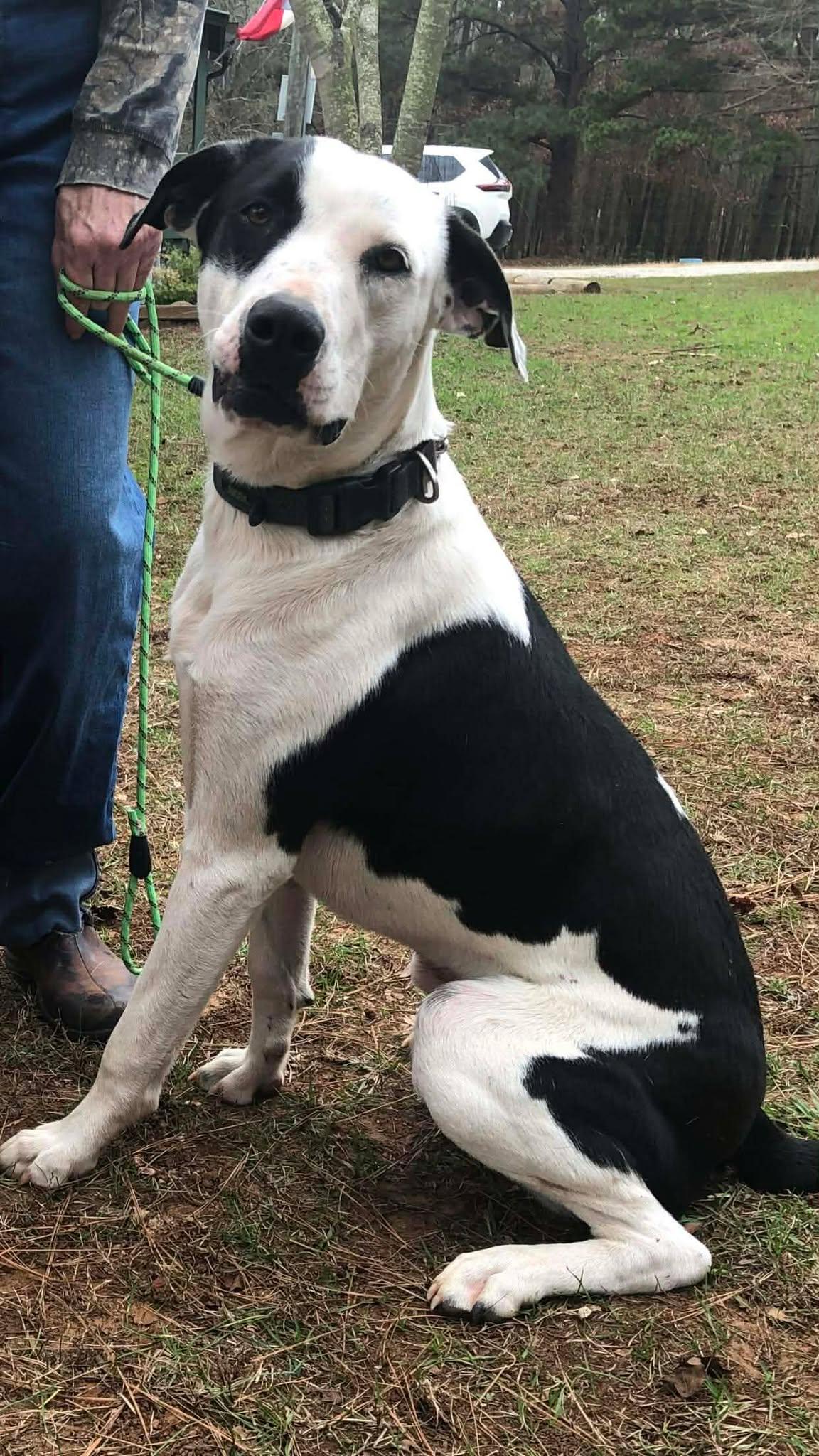 JD (20251214-01) — thumbnail 5