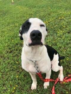 JD (20251214-01) — thumbnail 6