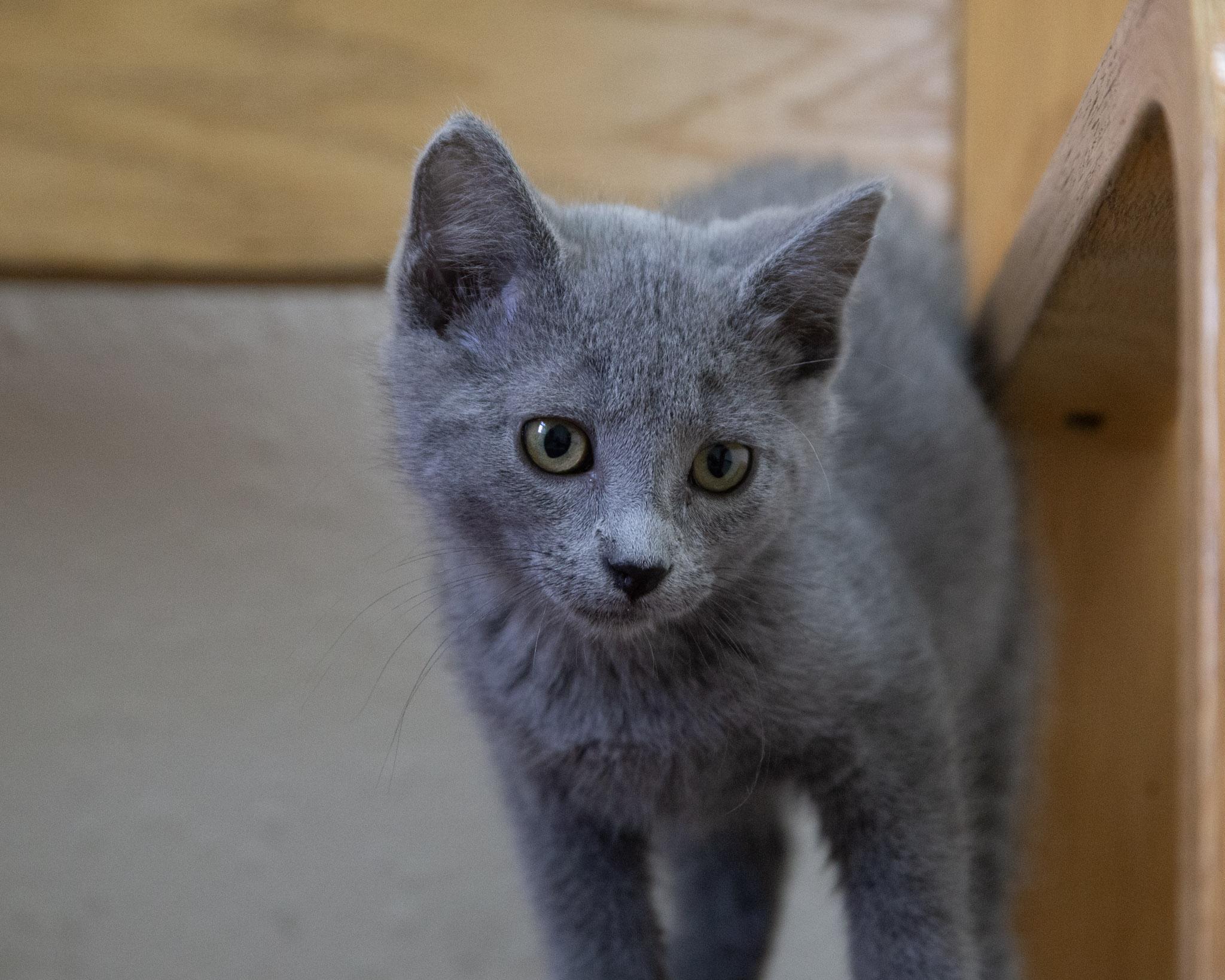 Quimby