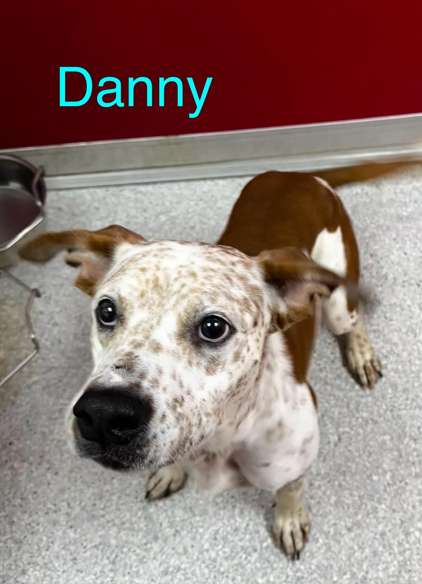 Danny