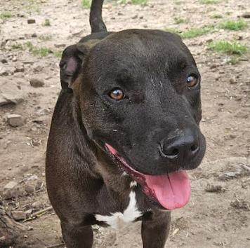 Lightning — thumbnail 2