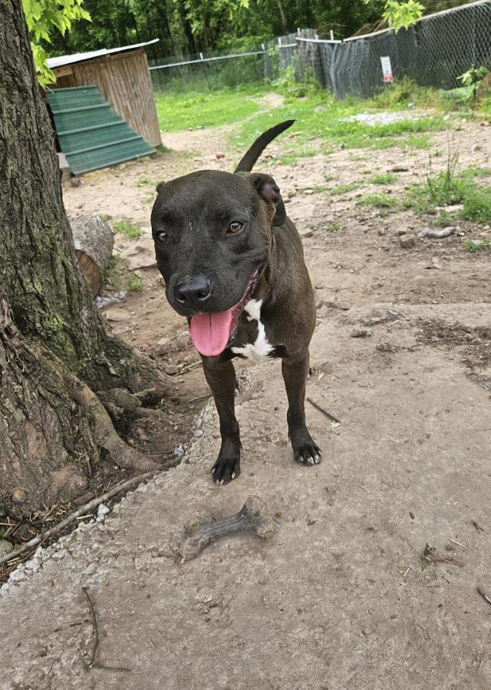 Lightning — thumbnail 5