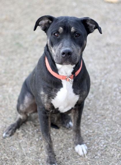 Sunnee — thumbnail 2