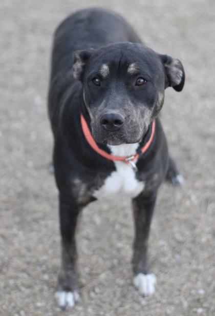 Sunnee — thumbnail 3