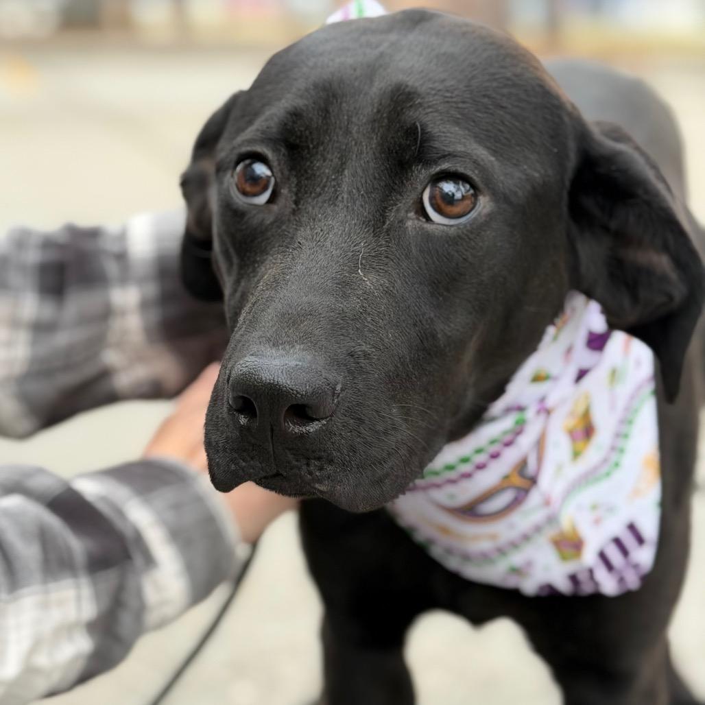 Felicia — thumbnail 2